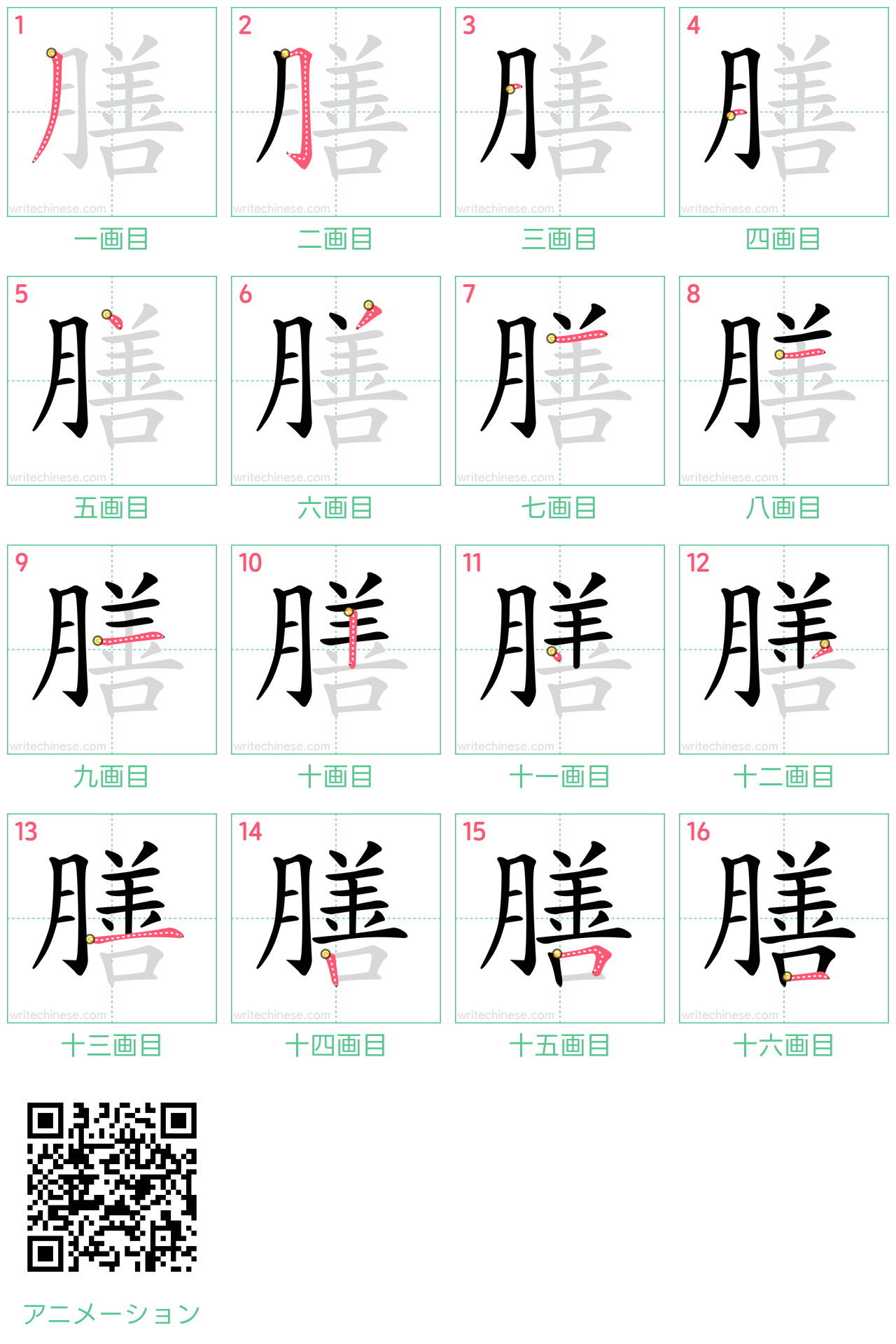 中国語の漢字「膳」の書き順 筆順