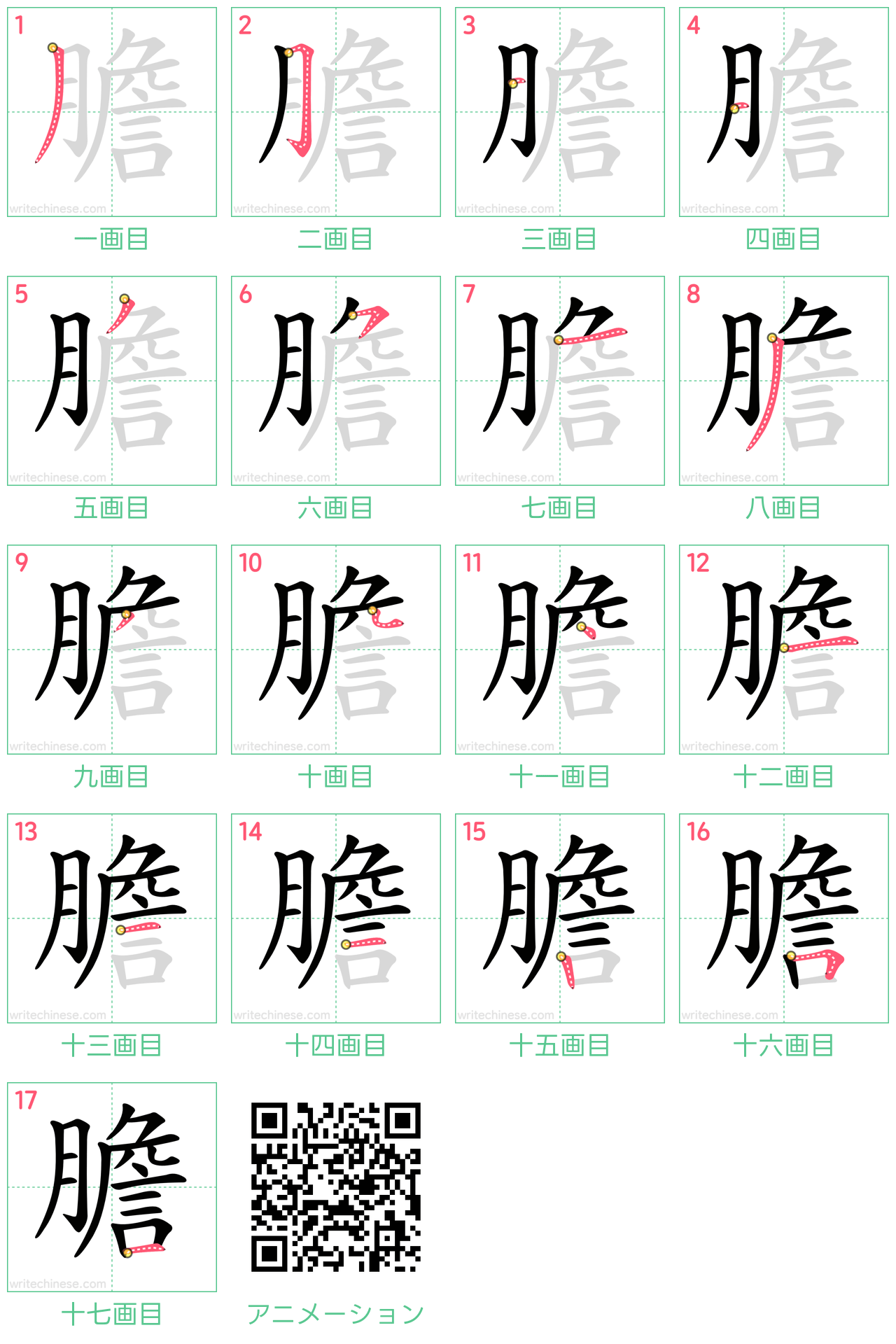 中国語の漢字「膽」の書き順 筆順