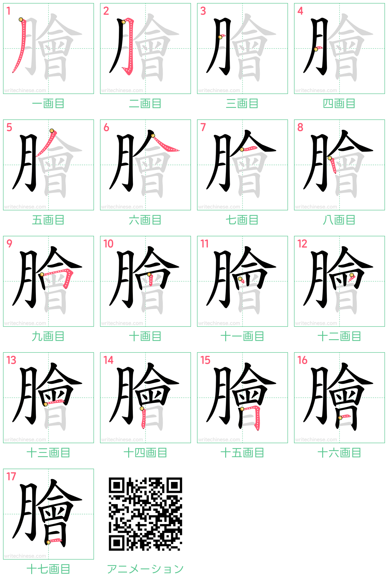 中国語の漢字「膾」の書き順 筆順