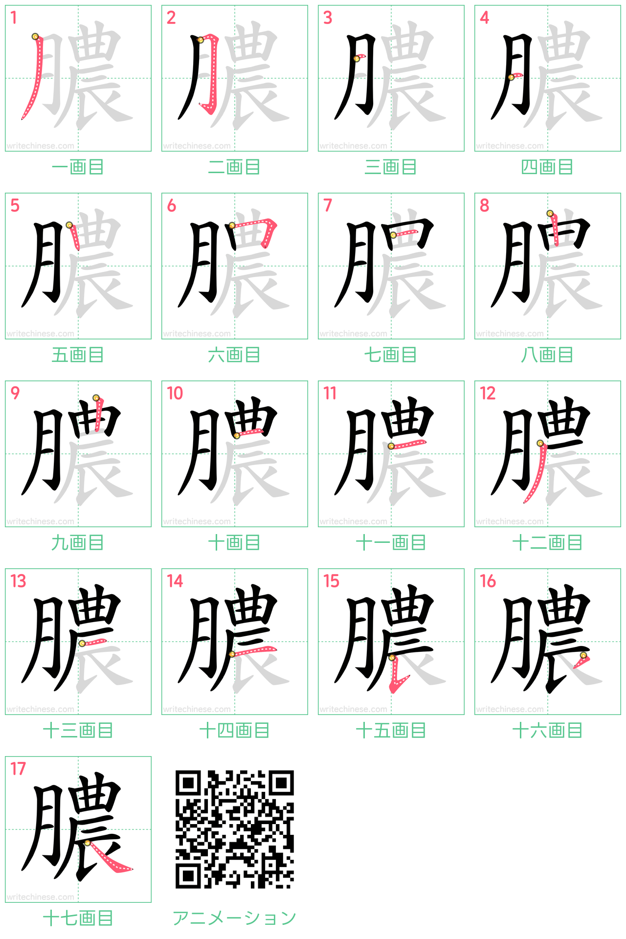 中国語の漢字「膿」の書き順 筆順