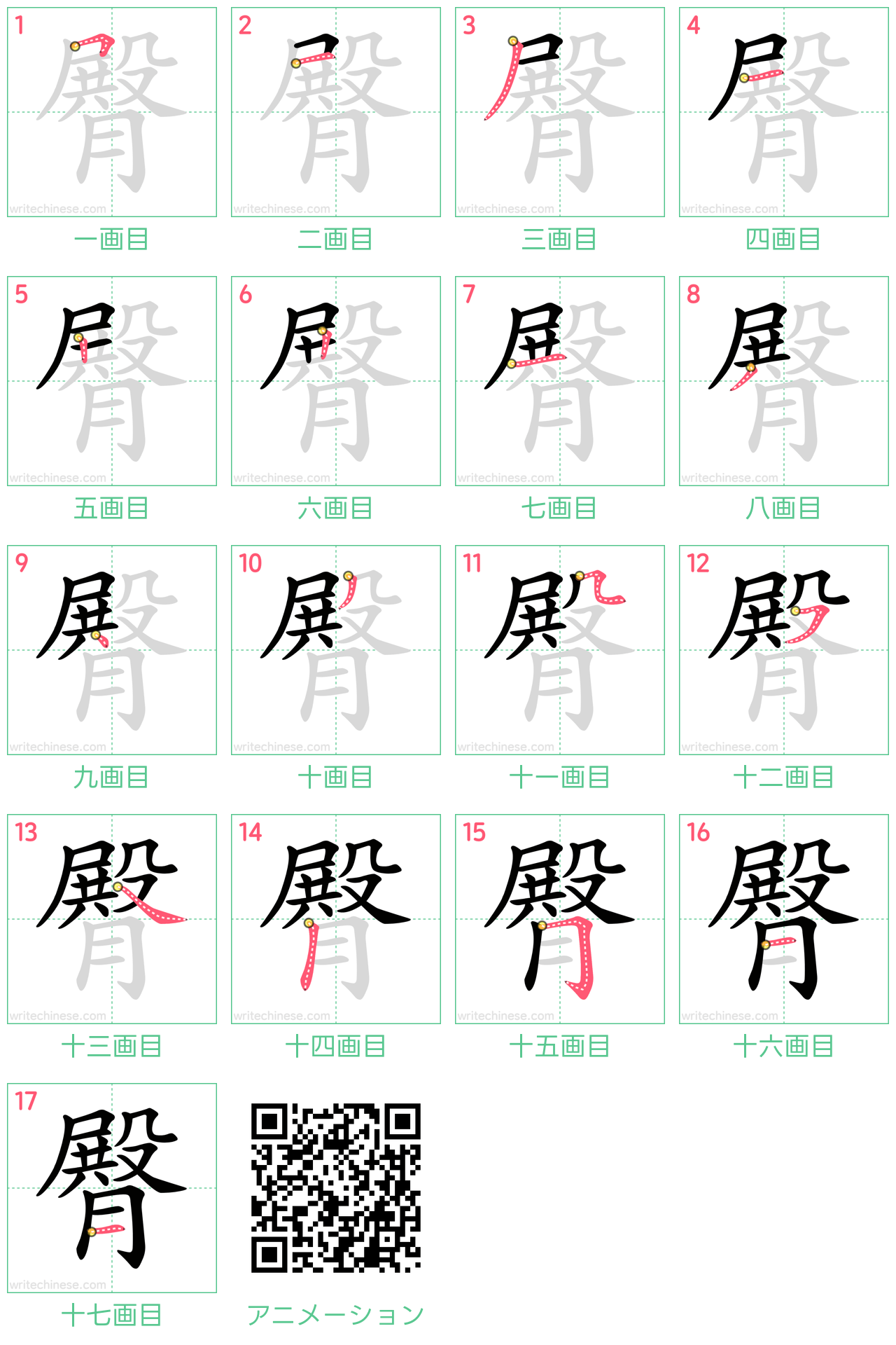中国語の漢字「臀」の書き順 筆順