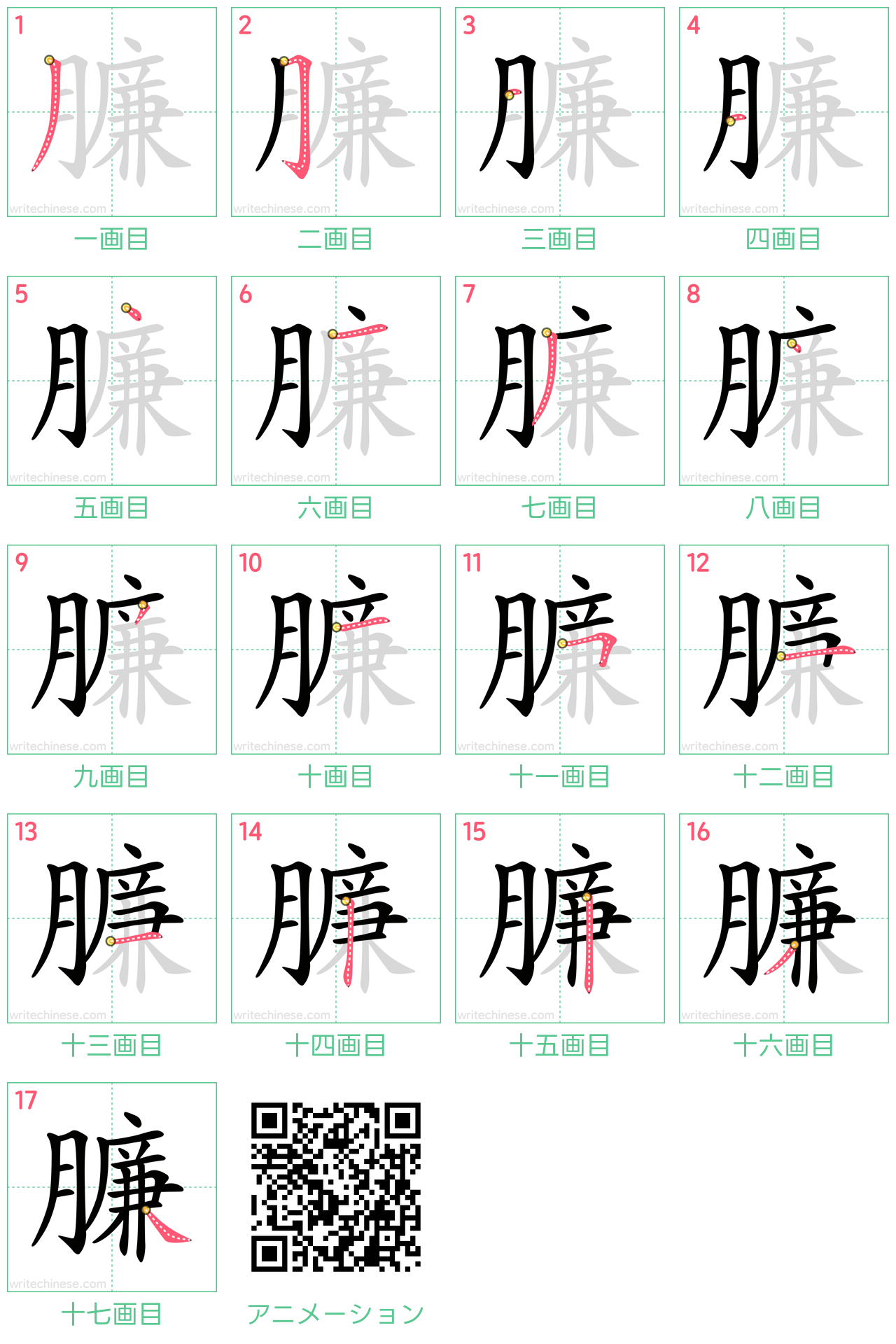 中国語の漢字「臁」の書き順 筆順