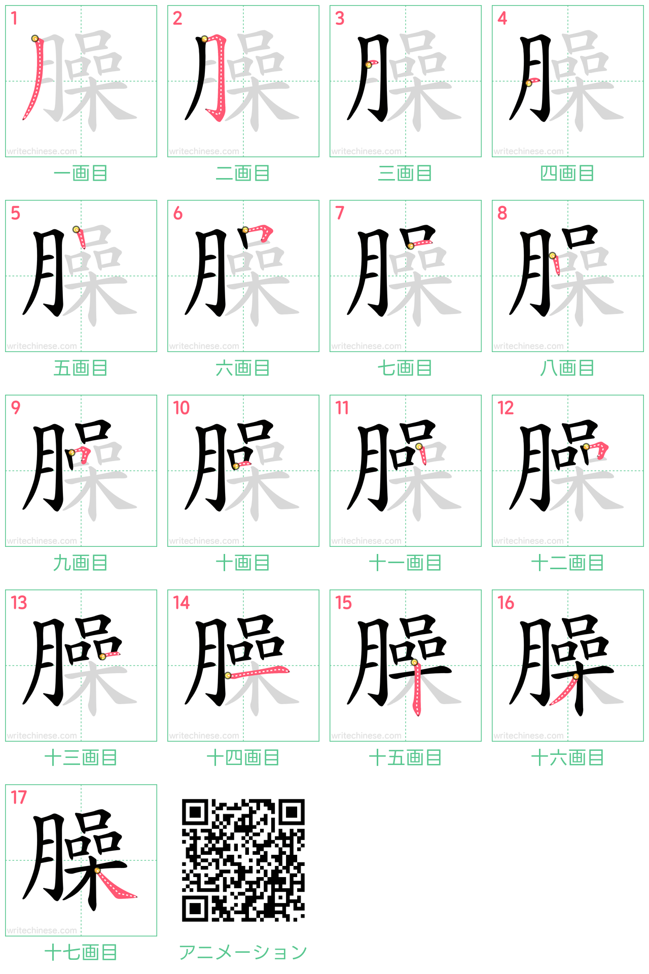 中国語の漢字「臊」の書き順 筆順