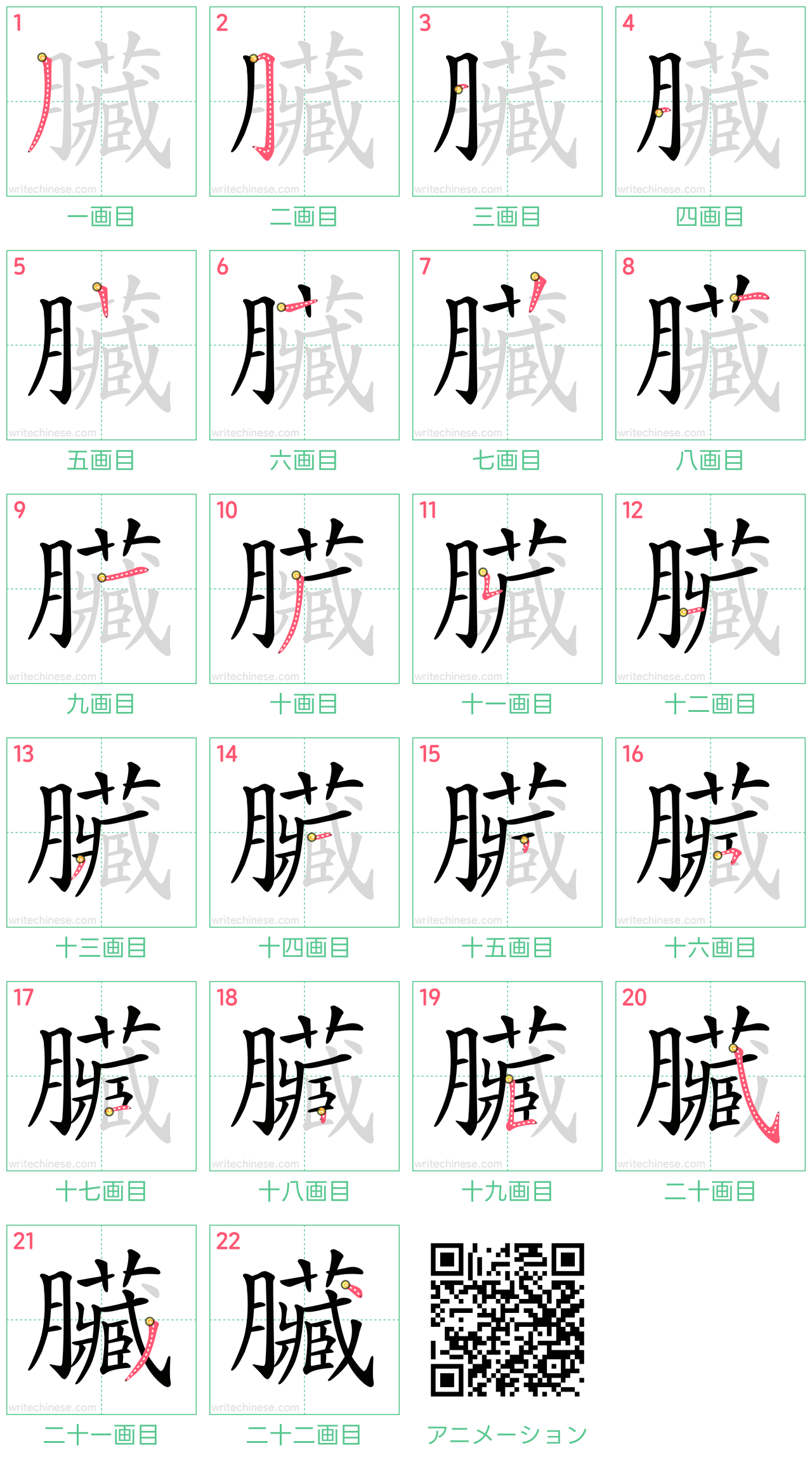 中国語の漢字「臟」の書き順 筆順