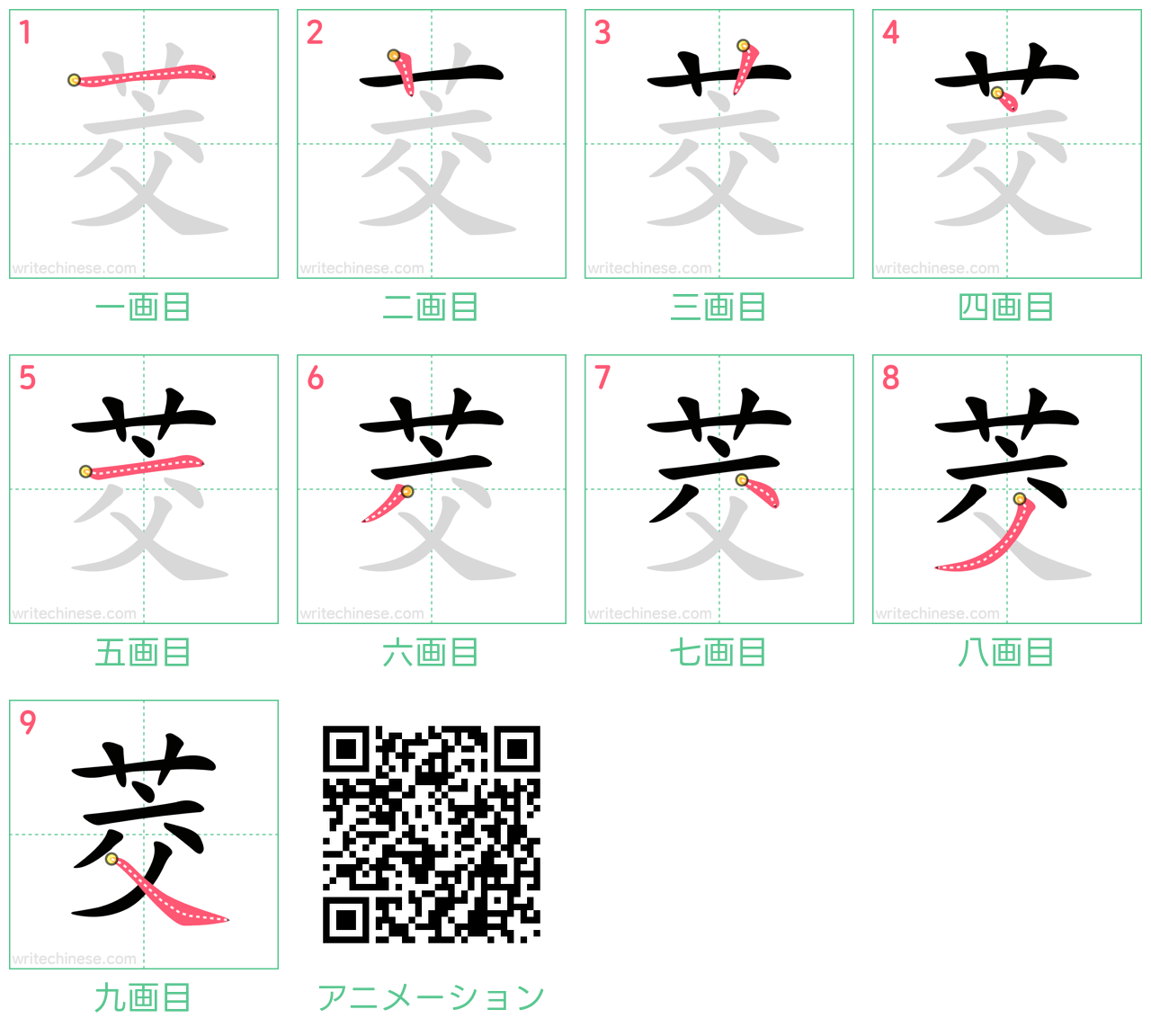 中国語の漢字「茭」の書き順 筆順