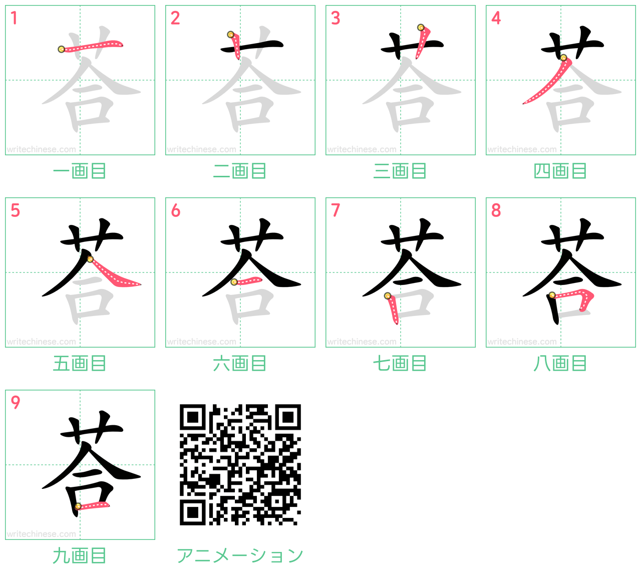 中国語の漢字「荅」の書き順 筆順