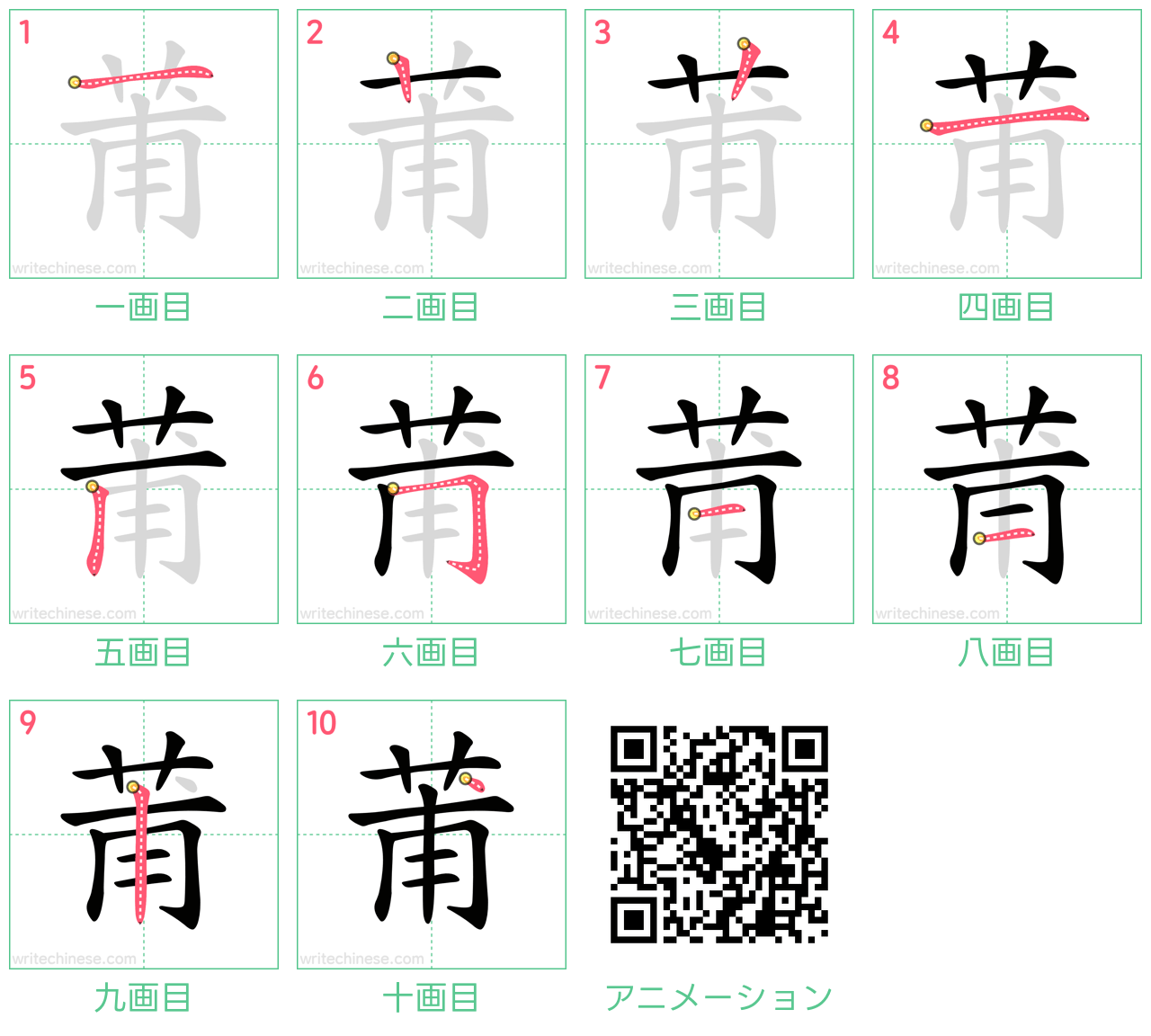 中国語の漢字「莆」の書き順 筆順