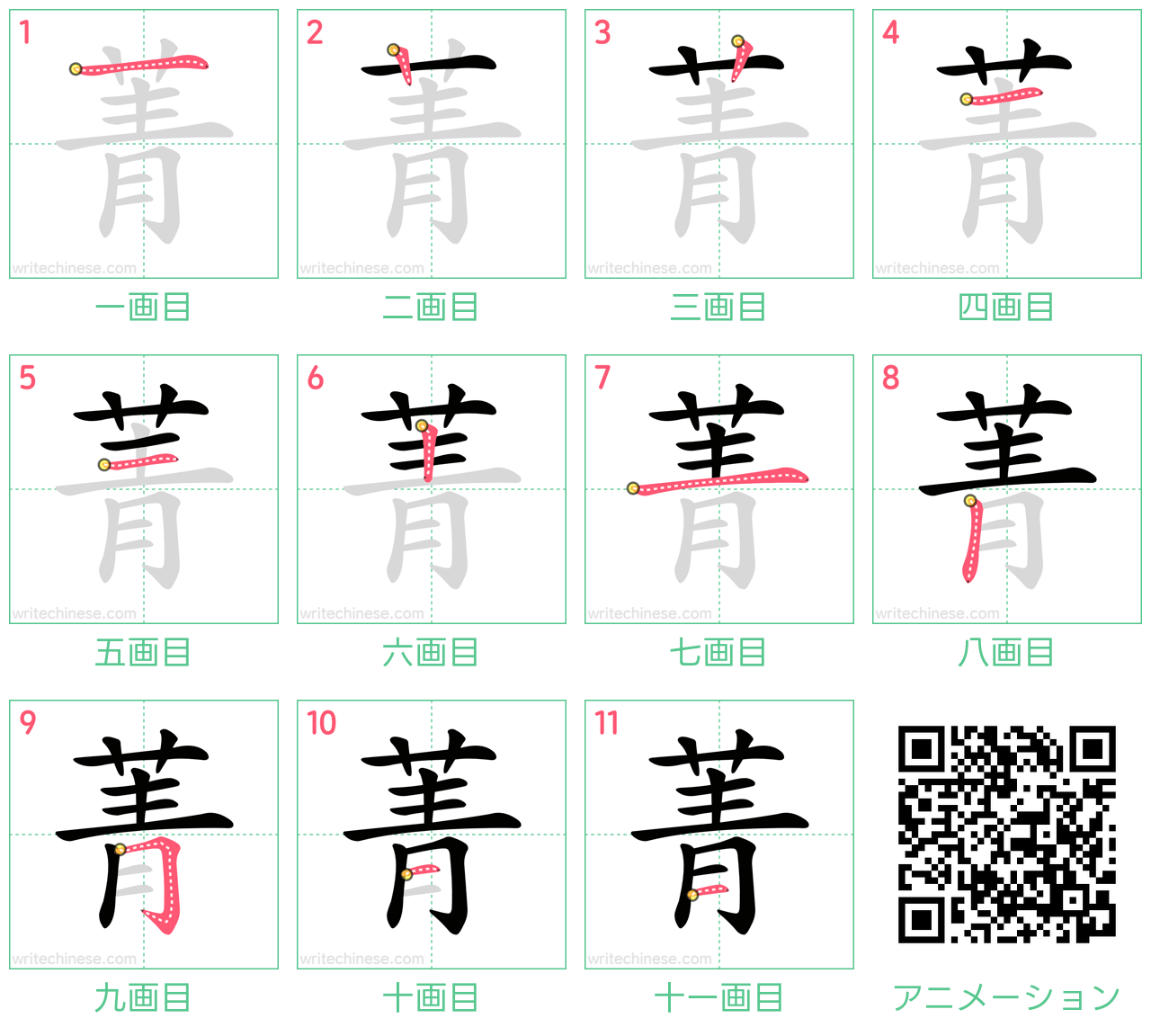 中国語の漢字「菁」の書き順 筆順