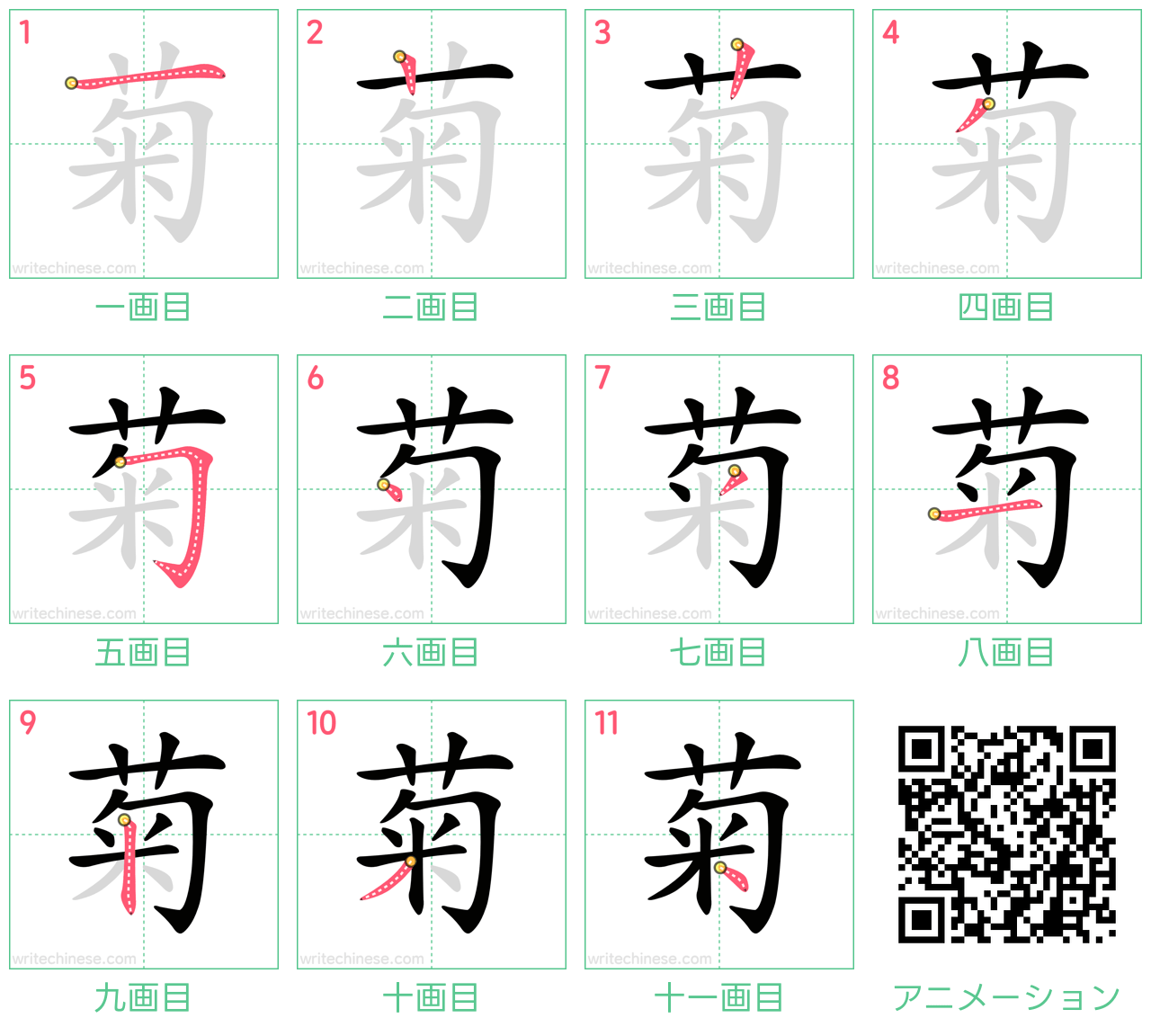 中国語の漢字「菊」の書き順 筆順