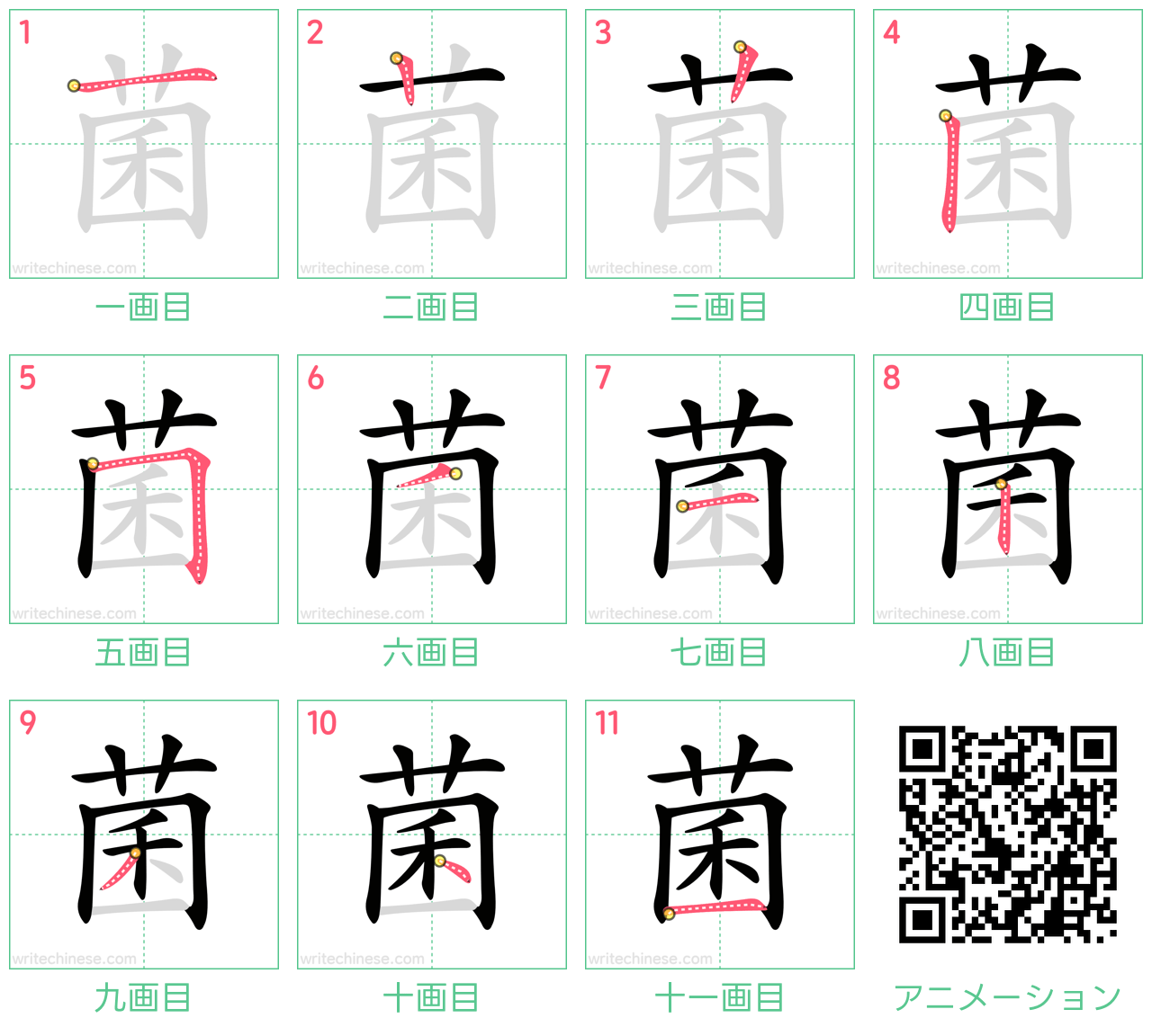 中国語の漢字「菌」の書き順 筆順