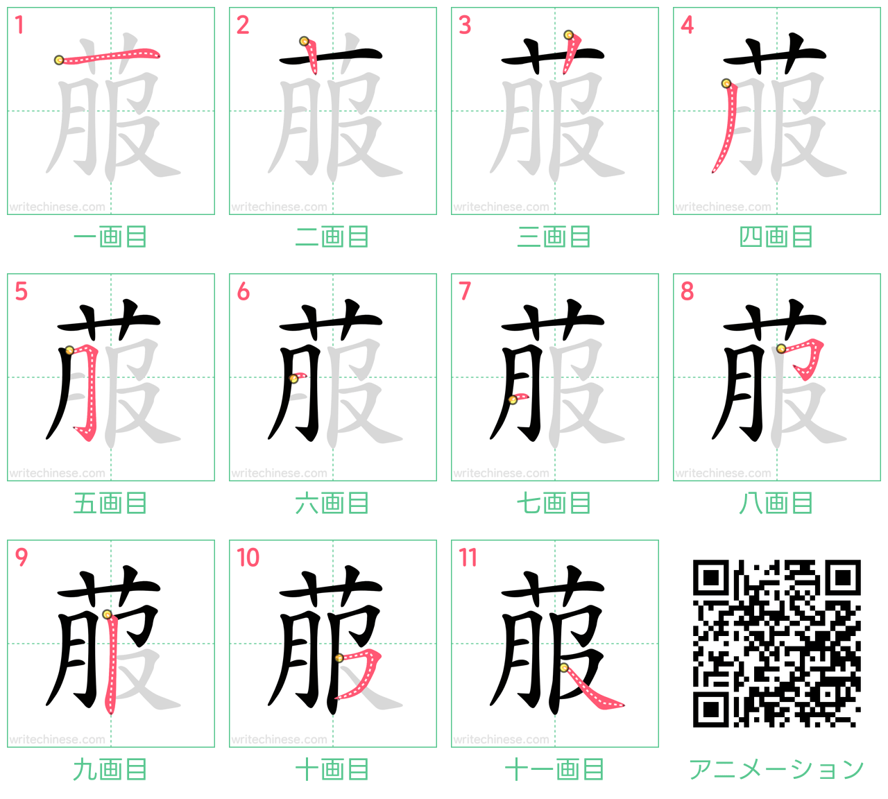 中国語の漢字「菔」の書き順 筆順
