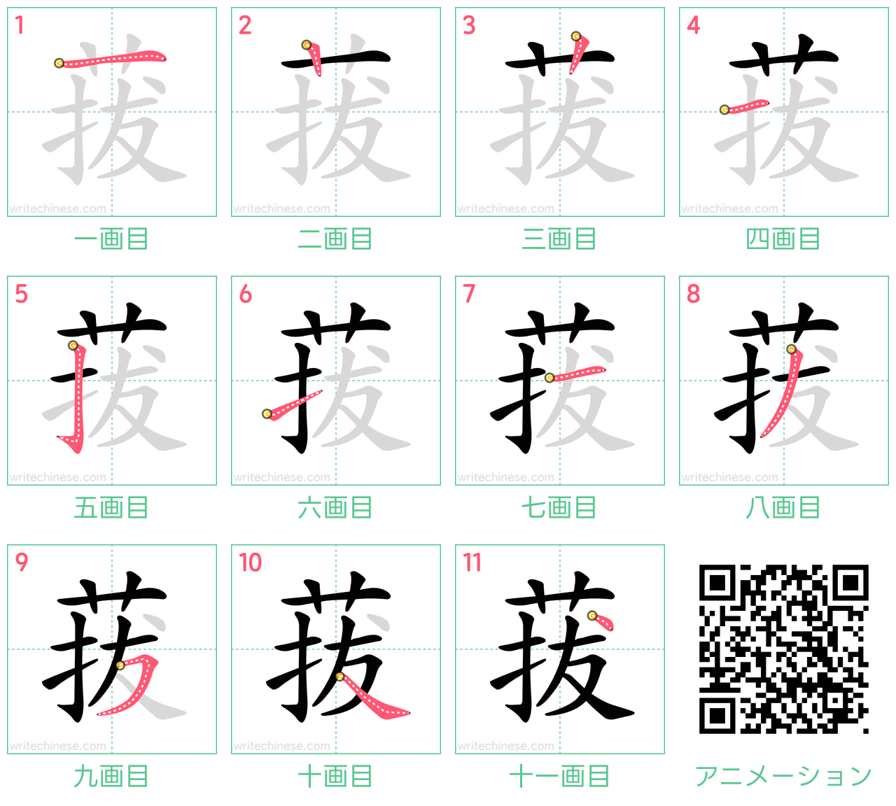 中国語の漢字「菝」の書き順 筆順