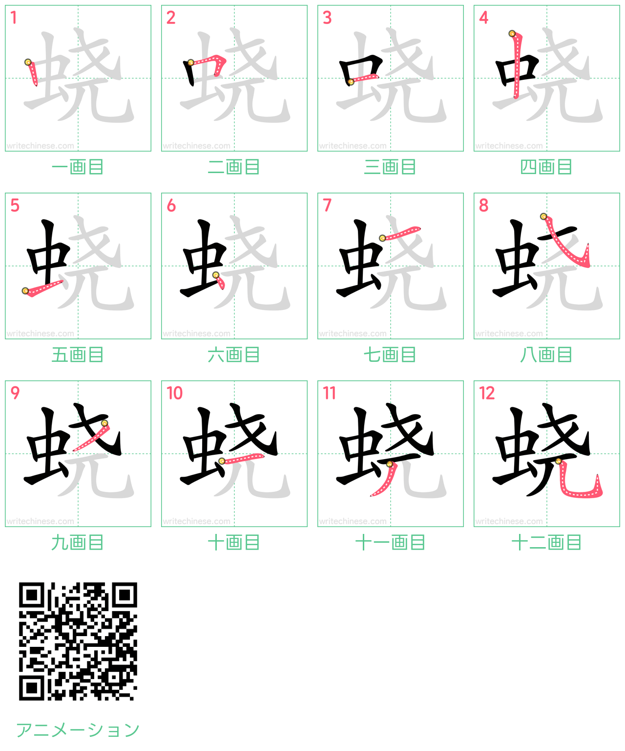 中国語の漢字「蛲」の書き順 筆順