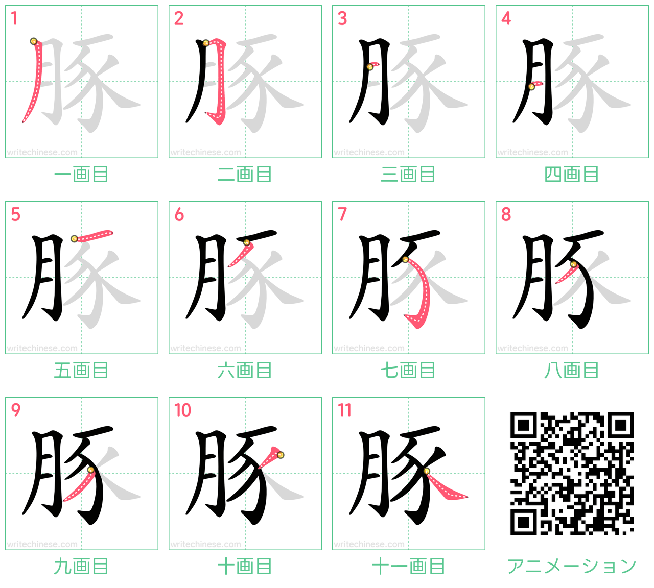 中国語の漢字「豚」の書き順 筆順