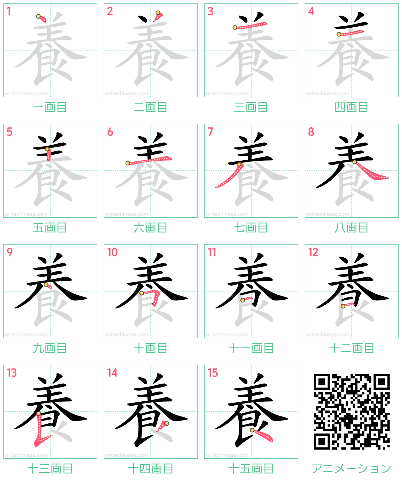 中国語の漢字「養」の書き順 筆順