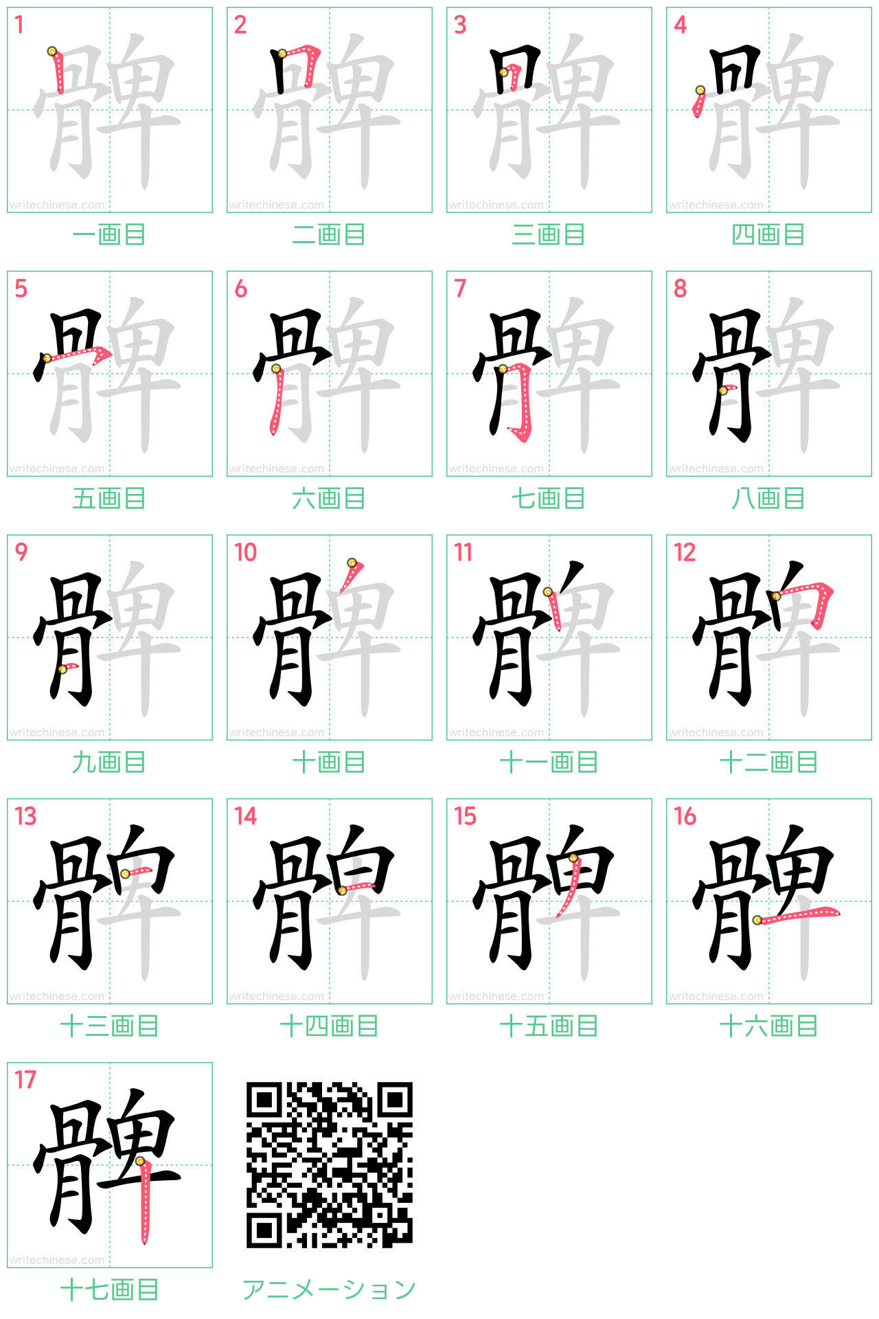 中国語の漢字「髀」の書き順 筆順