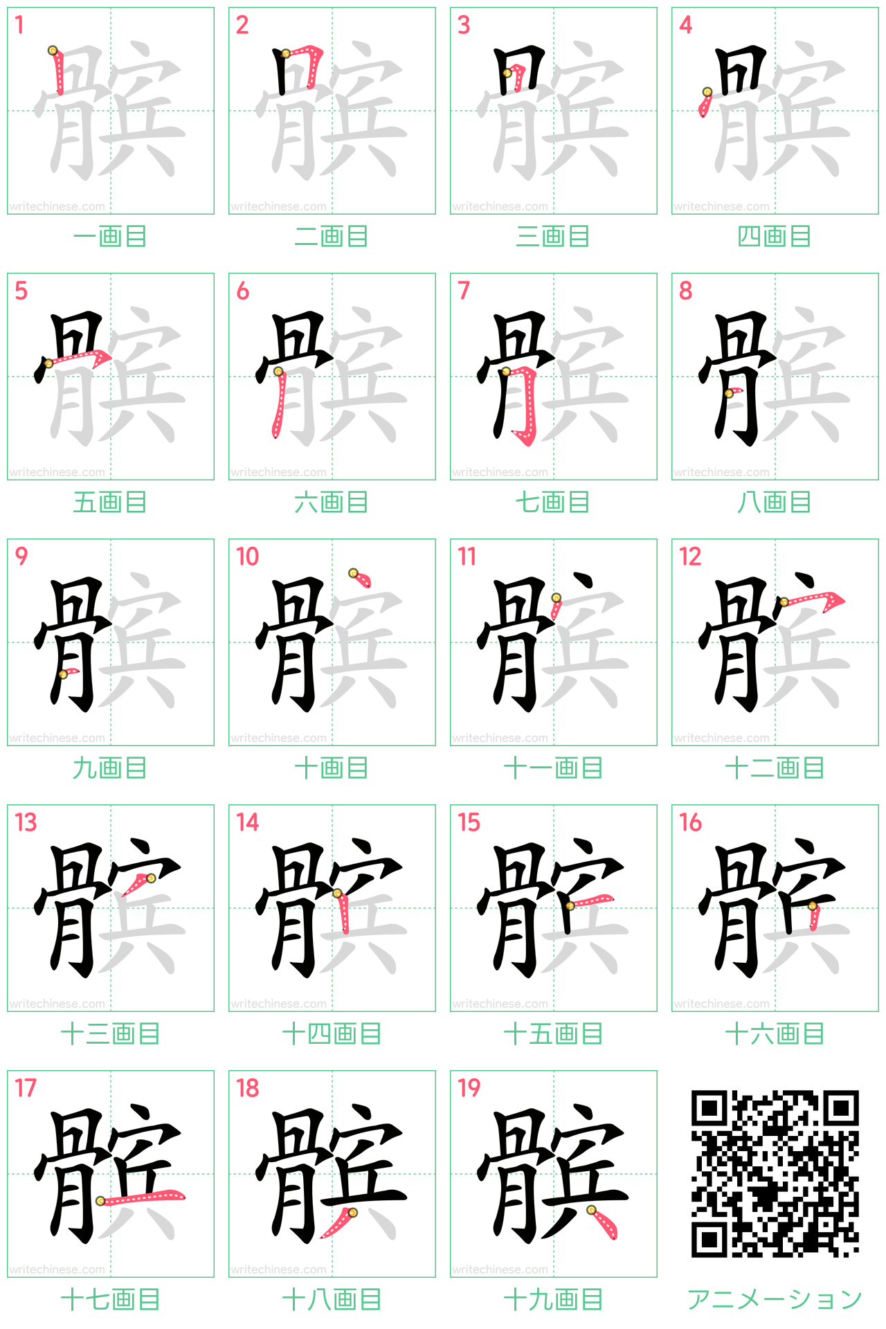 中国語の漢字「髌」の書き順 筆順