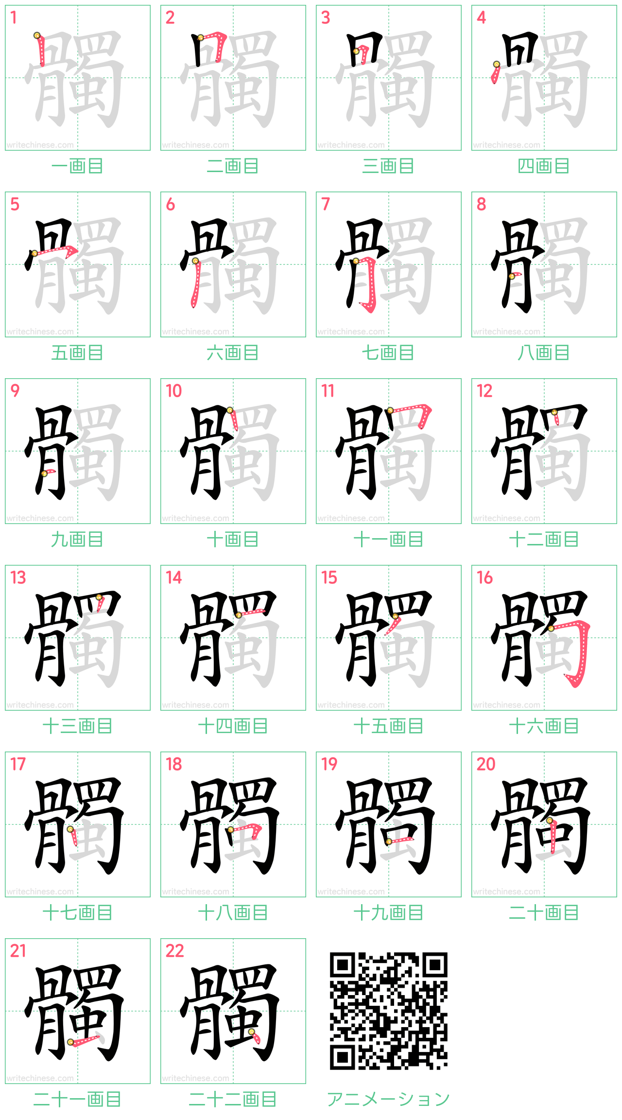 中国語の漢字「髑」の書き順 筆順