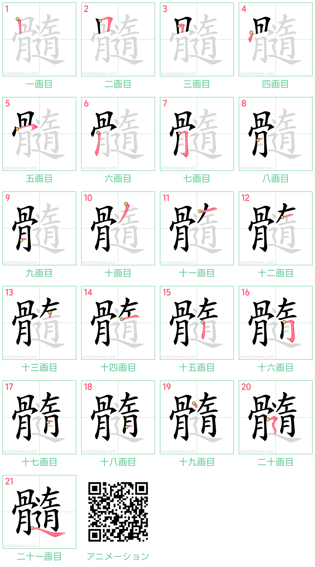 中国語の漢字「髓」の書き順 筆順
