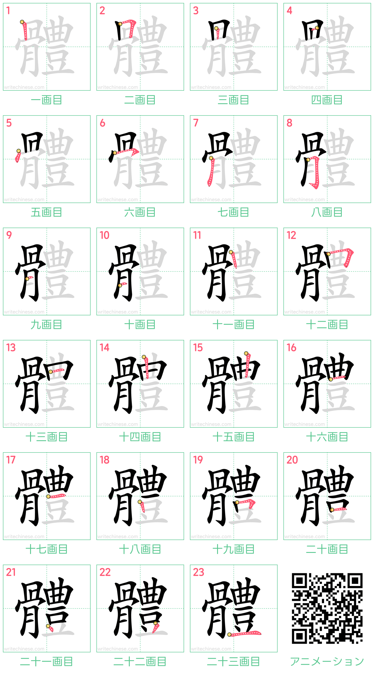 中国語の漢字「體」の書き順 筆順