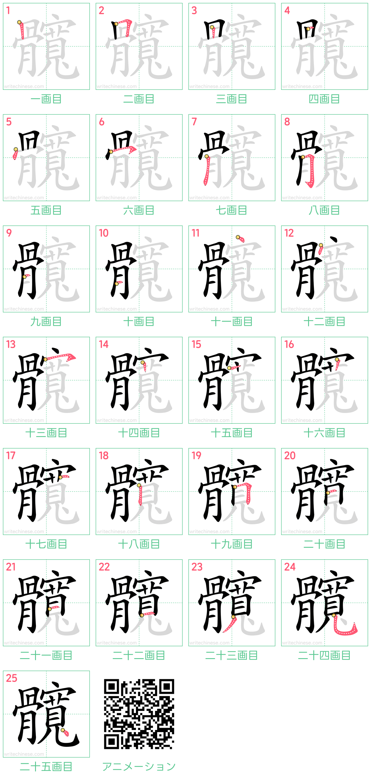 中国語の漢字「髖」の書き順 筆順