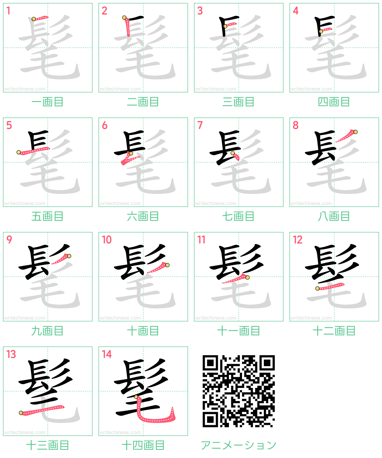中国語の漢字「髦」の書き順 筆順