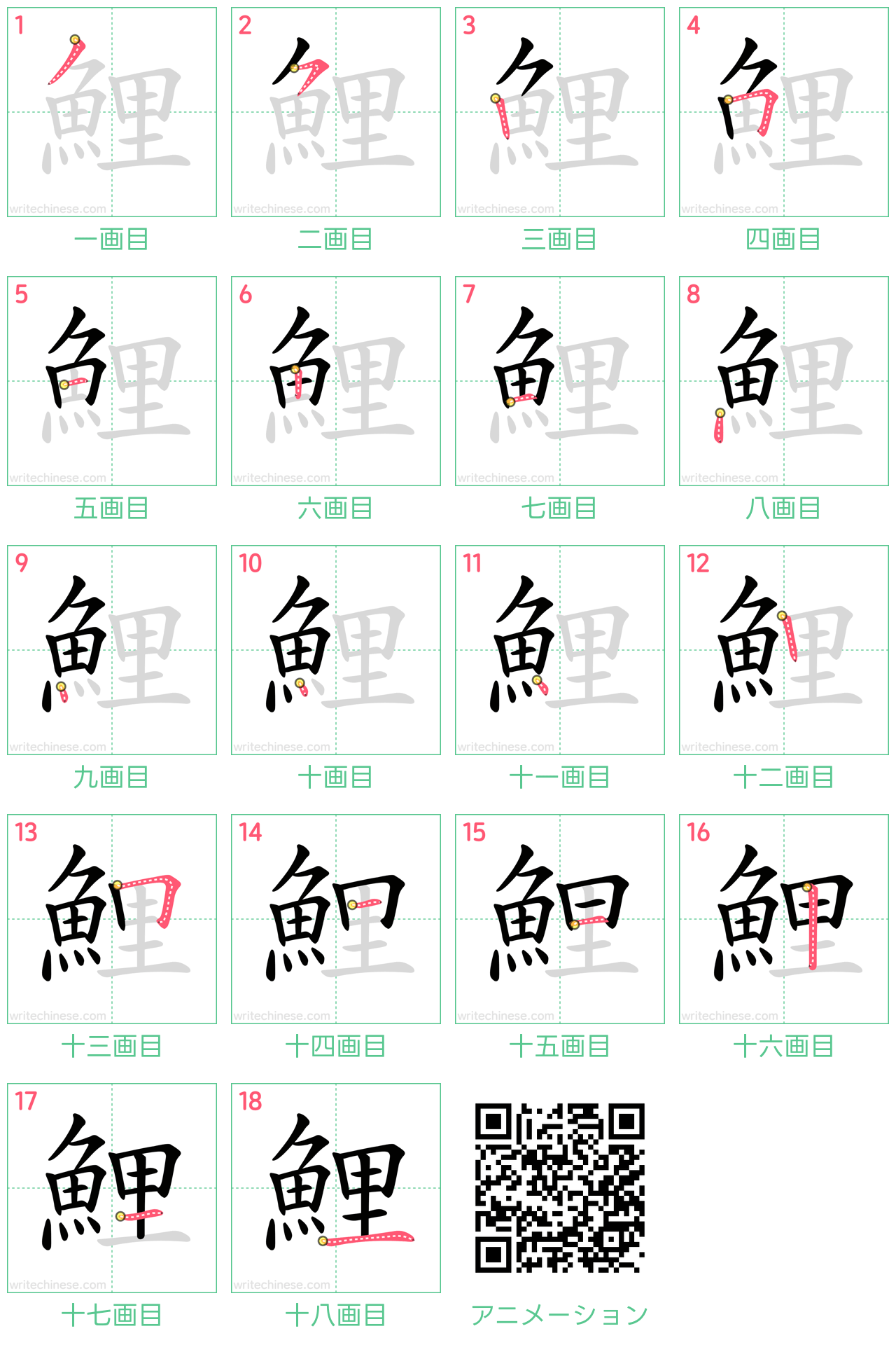 中国語の漢字「鯉」の書き順 筆順