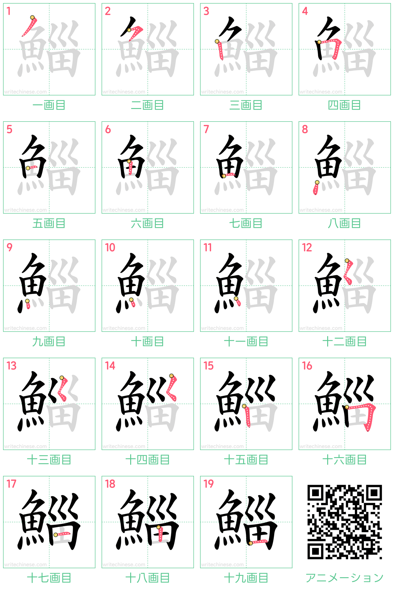 中国語の漢字「鯔」の書き順 筆順