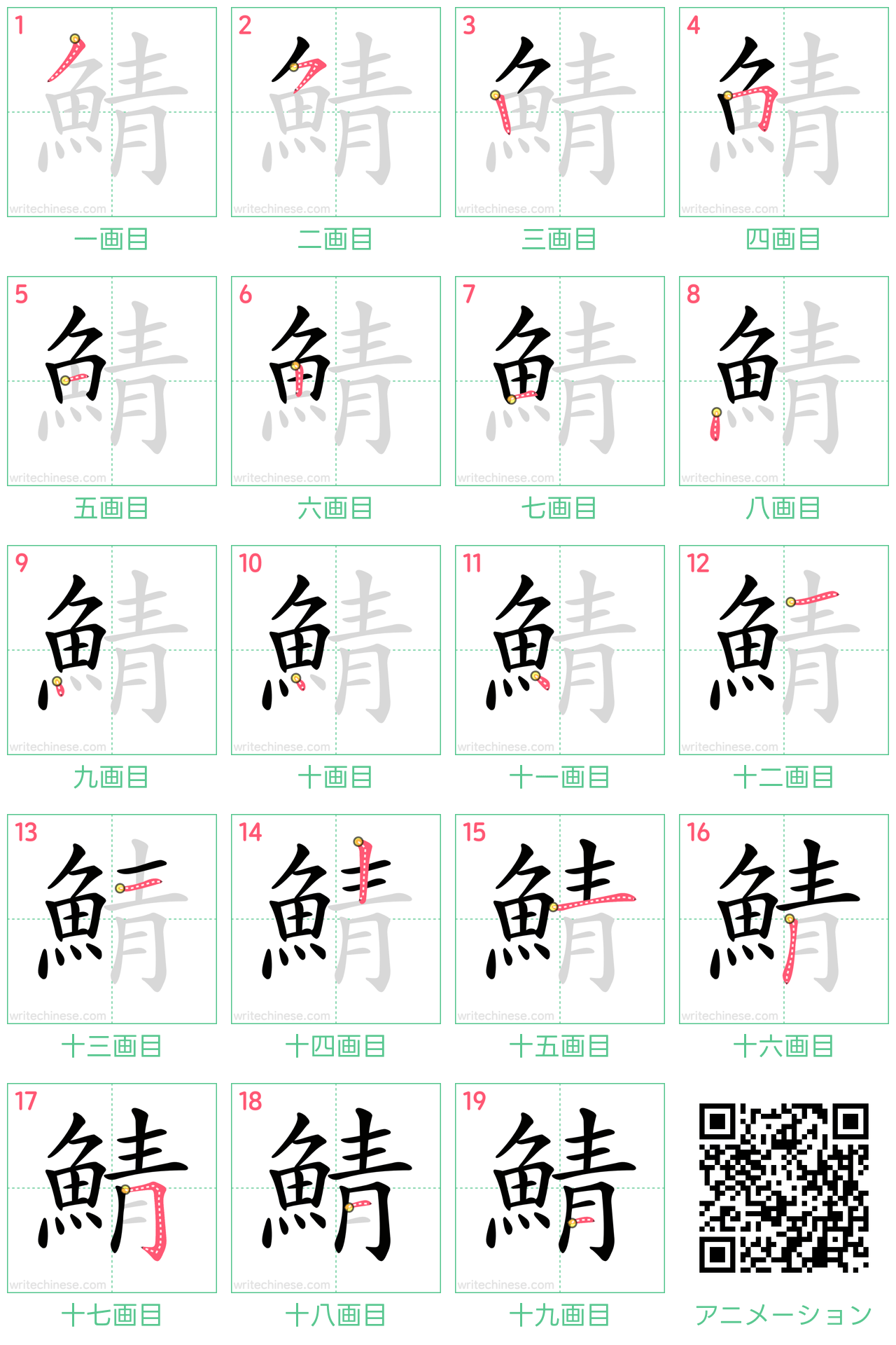 中国語の漢字「鯖」の書き順 筆順