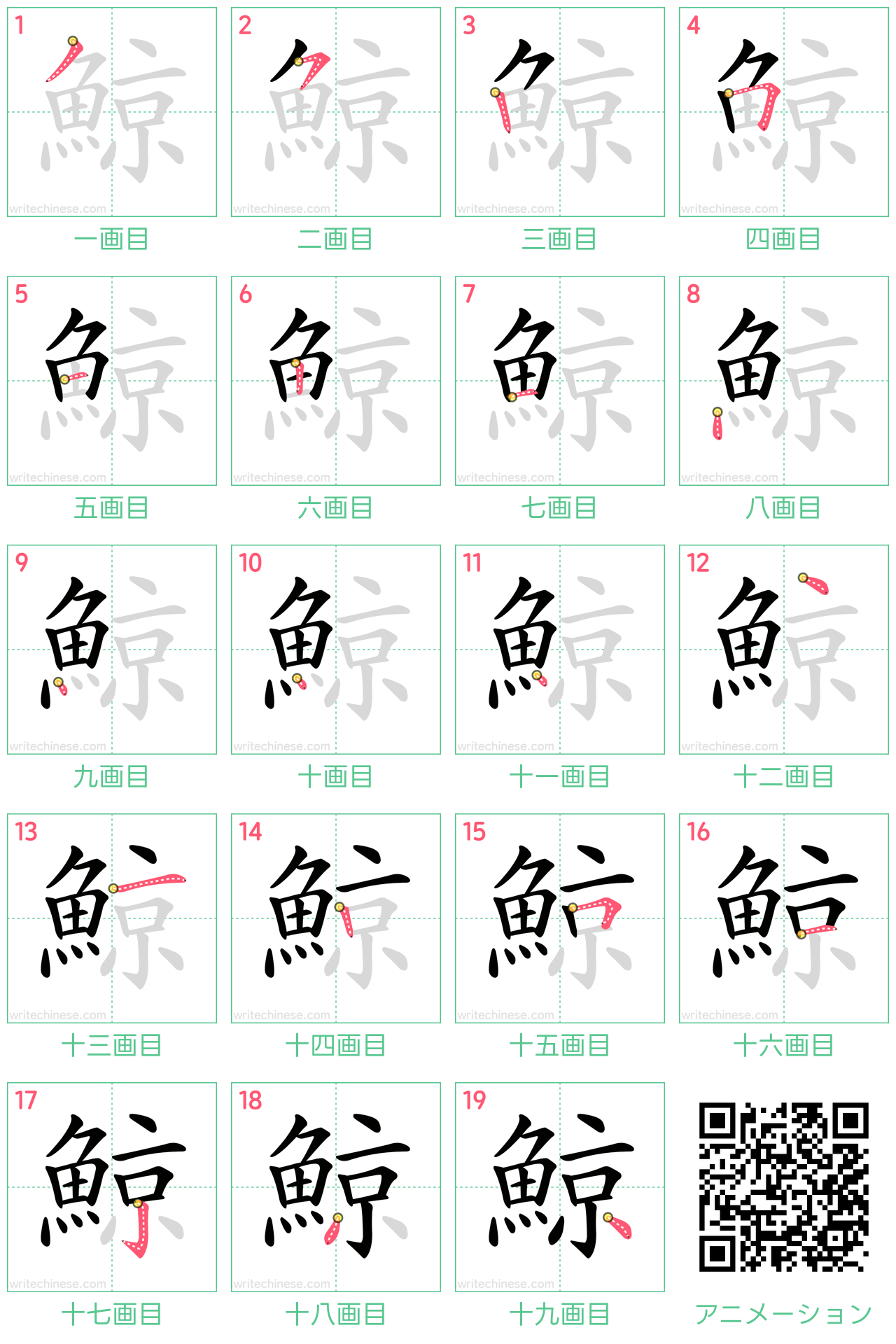 中国語の漢字「鯨」の書き順 筆順