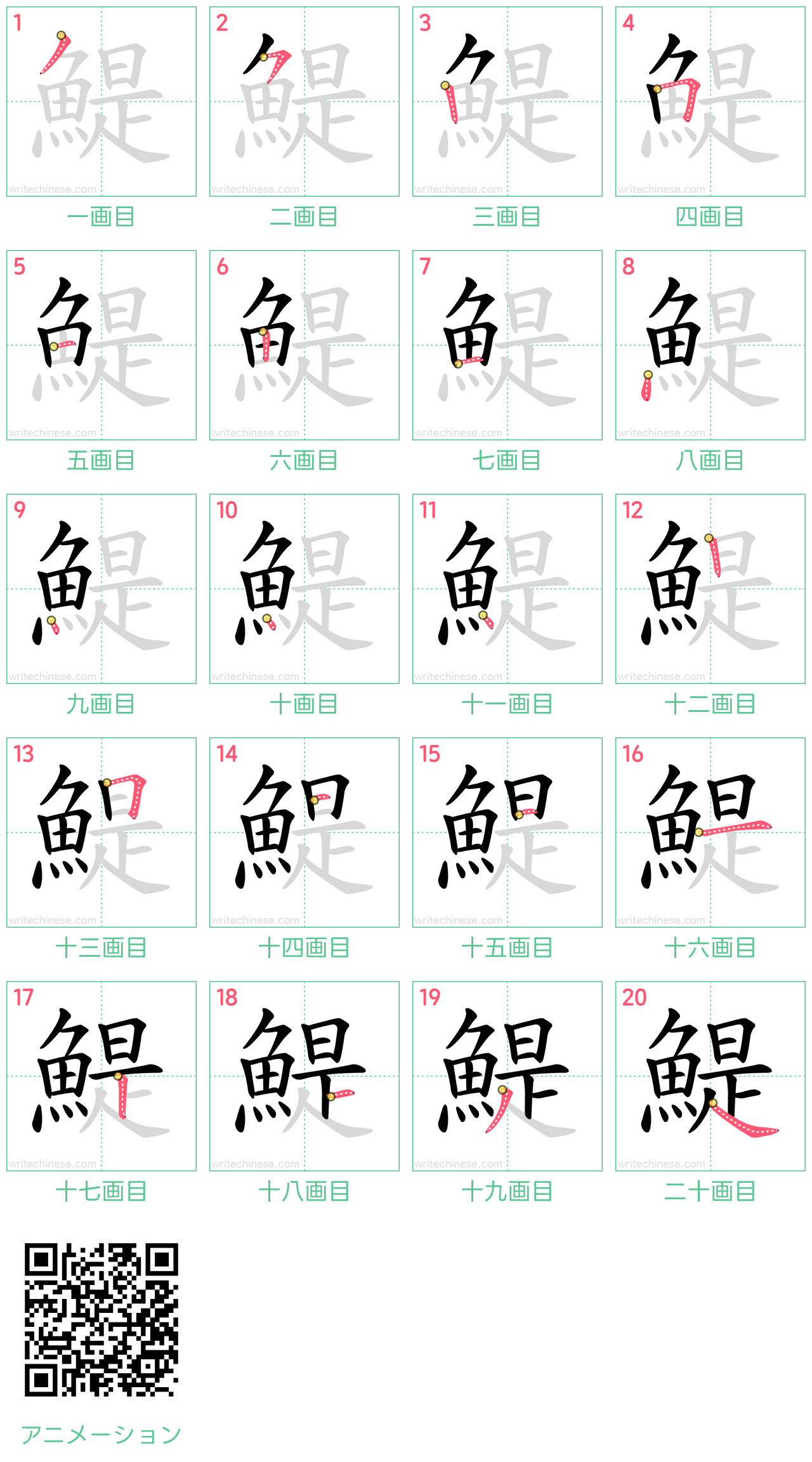 中国語の漢字「鯷」の書き順 筆順