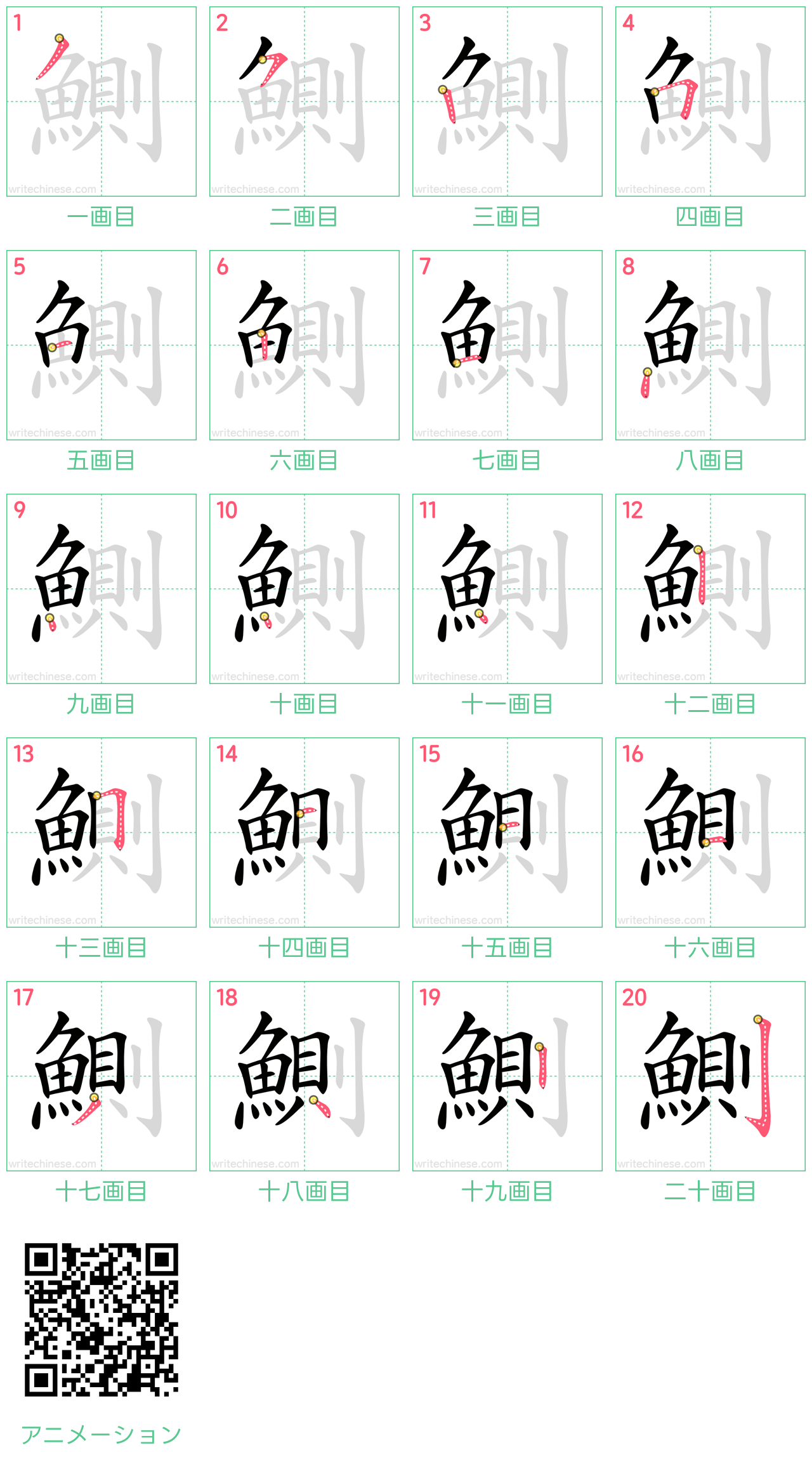 中国語の漢字「鰂」の書き順 筆順