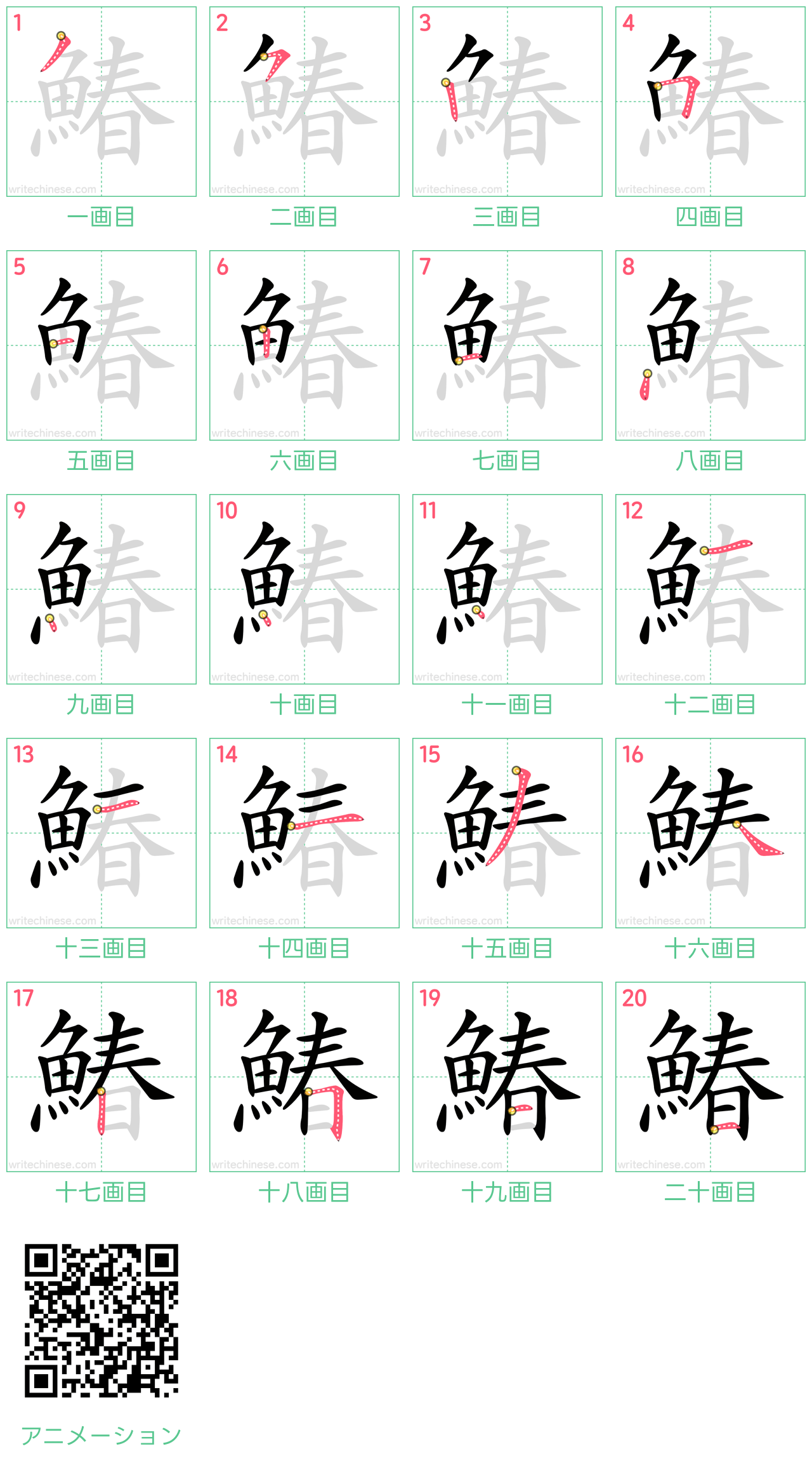 中国語の漢字「鰆」の書き順 筆順
