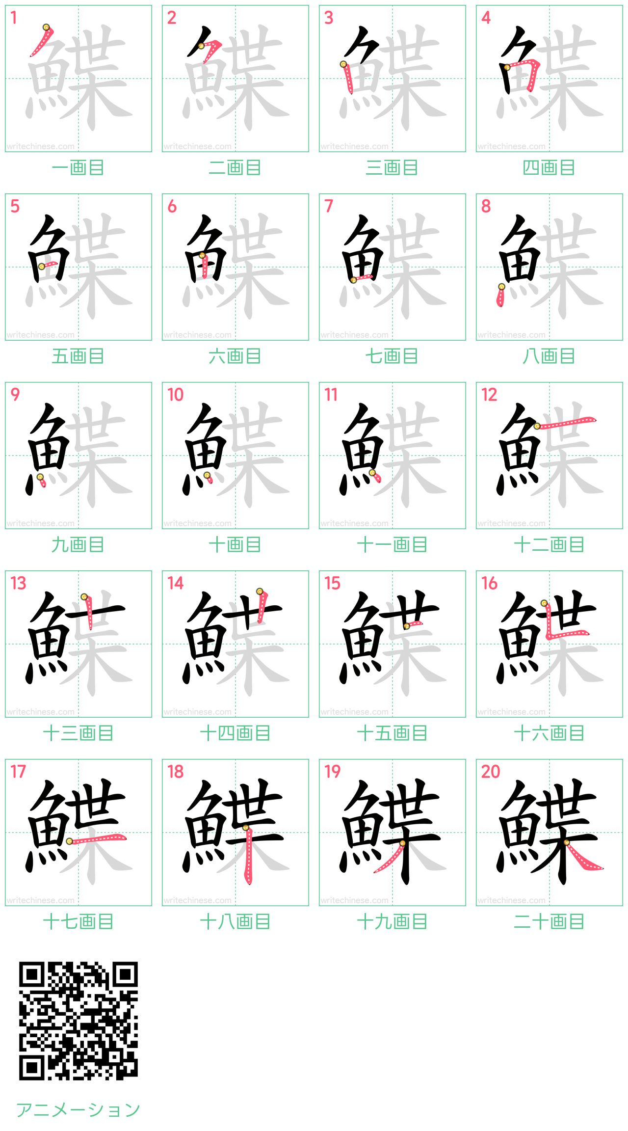 中国語の漢字「鰈」の書き順 筆順