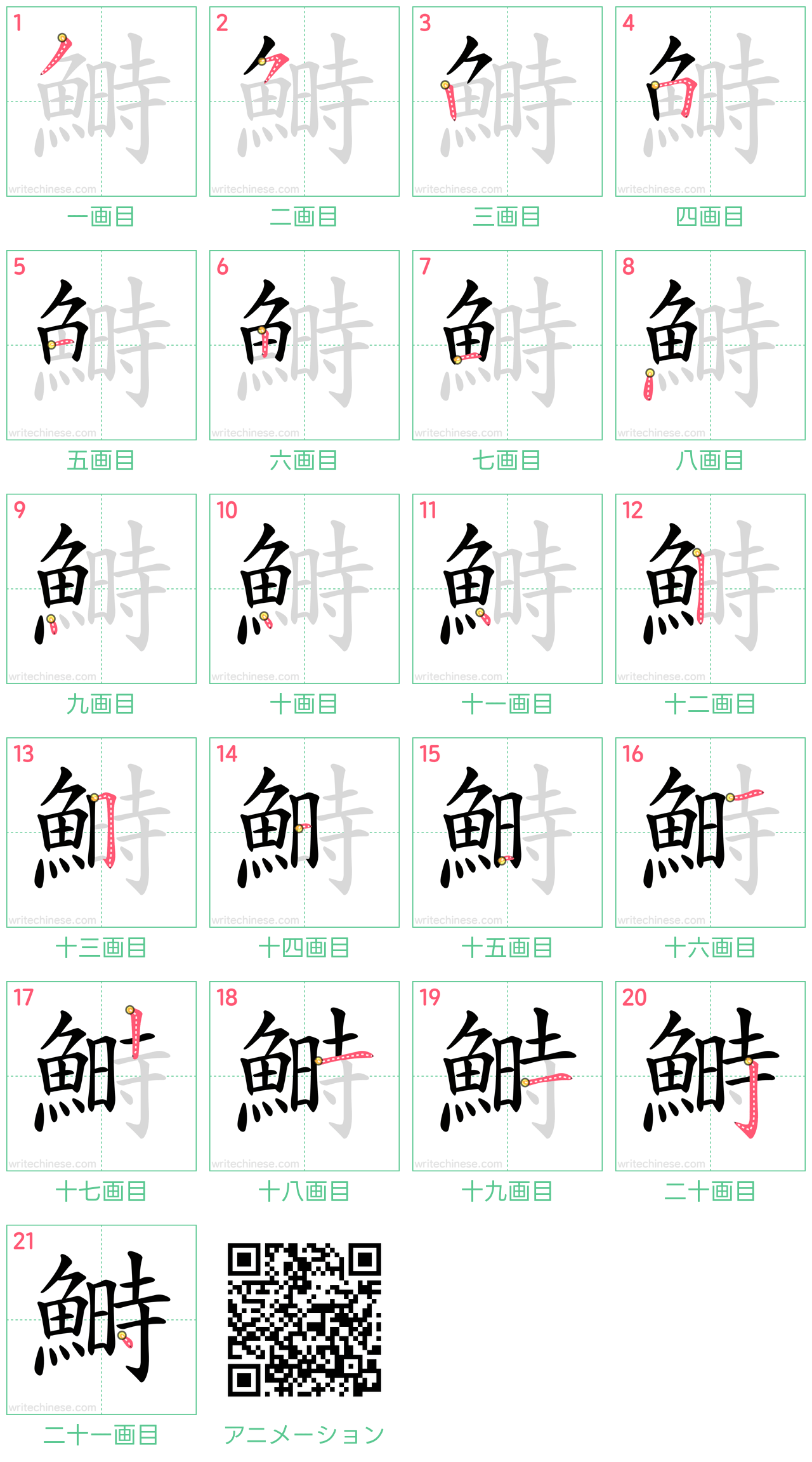 中国語の漢字「鰣」の書き順 筆順