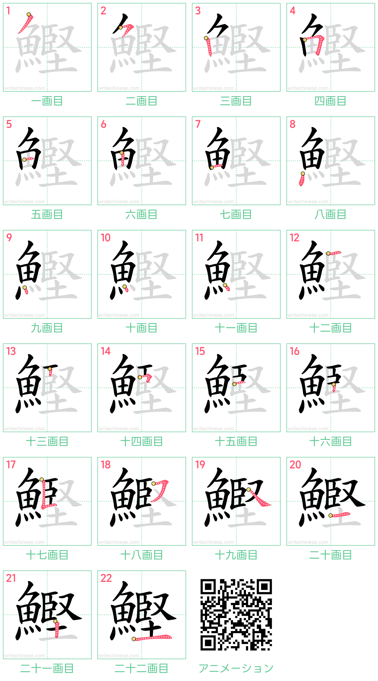 中国語の漢字「鰹」の書き順 筆順