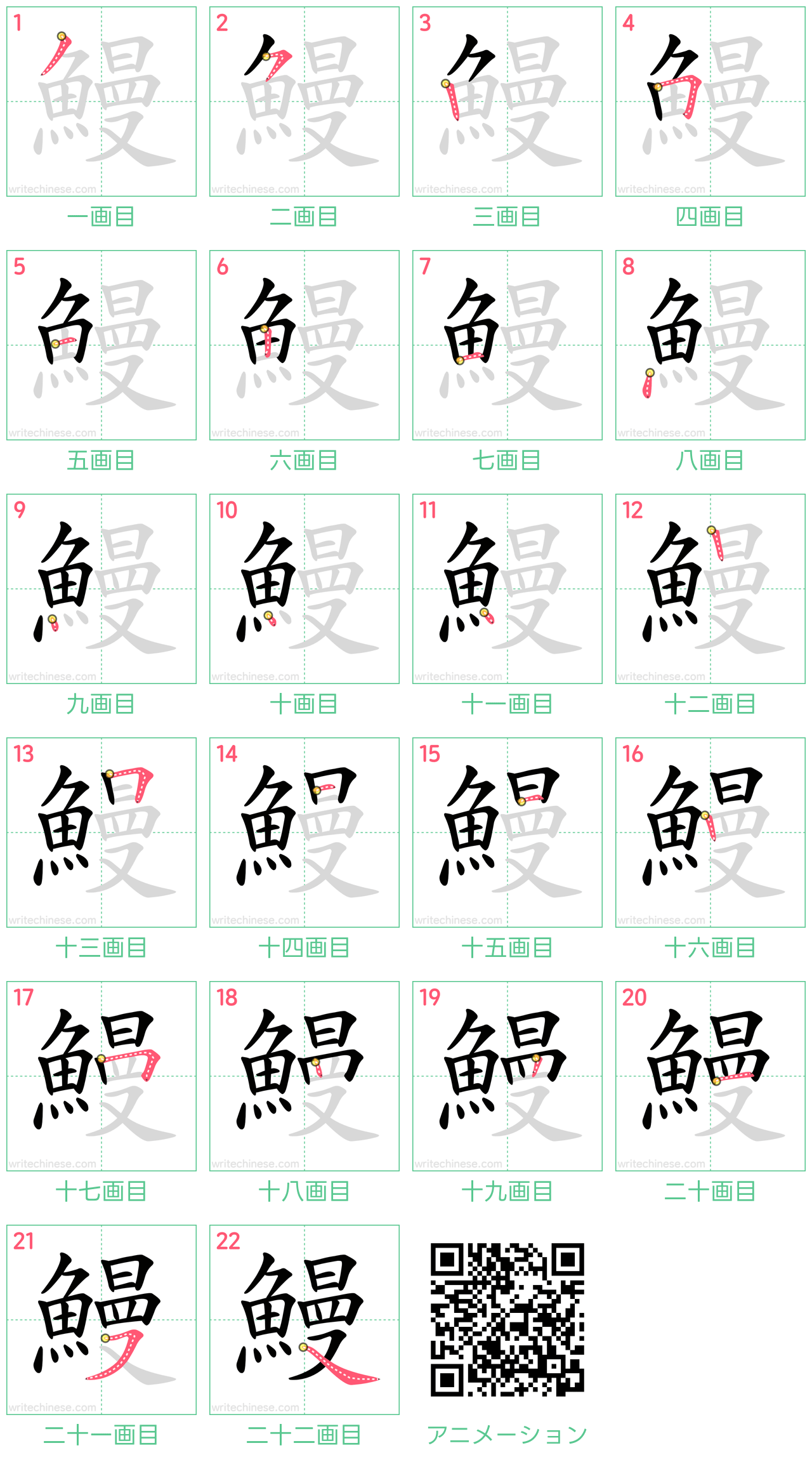 中国語の漢字「鰻」の書き順 筆順