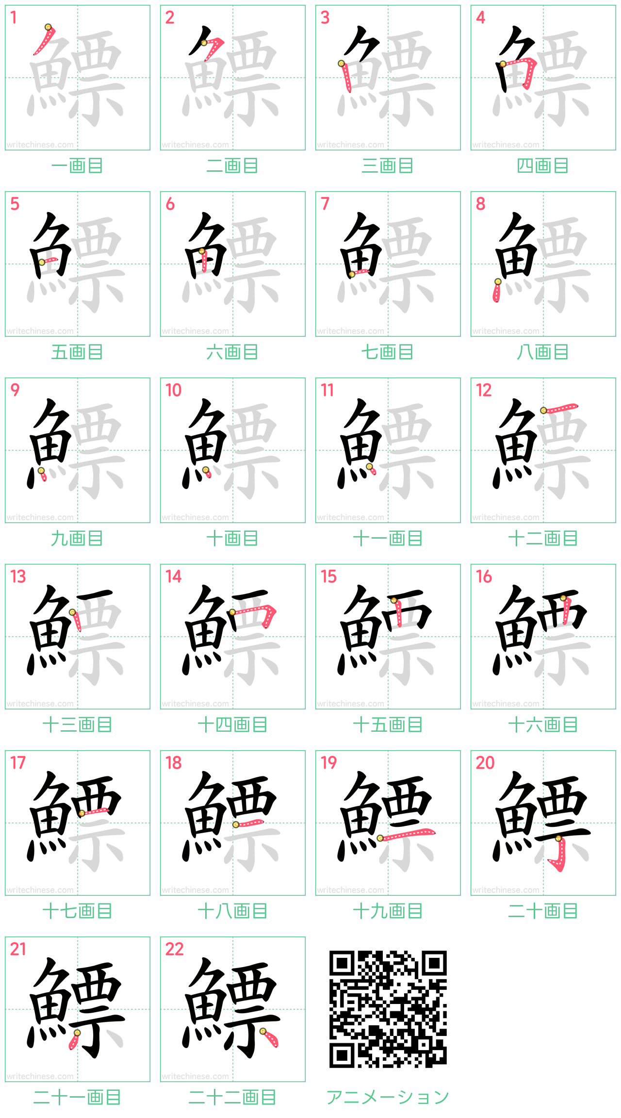 中国語の漢字「鰾」の書き順 筆順