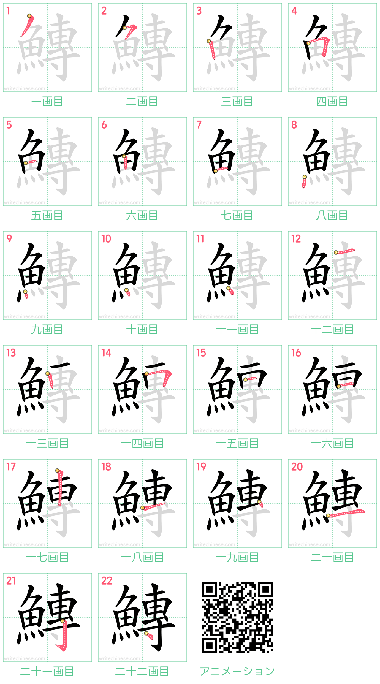 中国語の漢字「鱄」の書き順 筆順