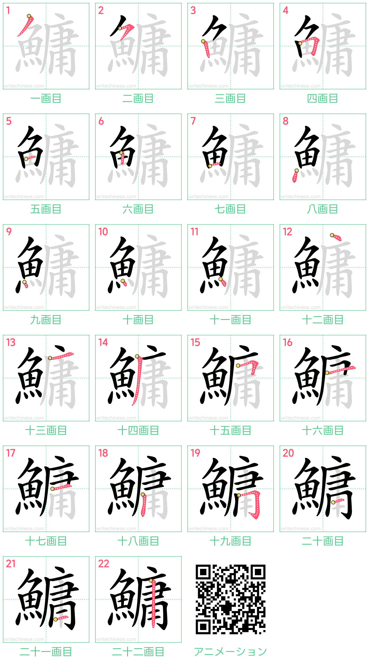 中国語の漢字「鱅」の書き順 筆順