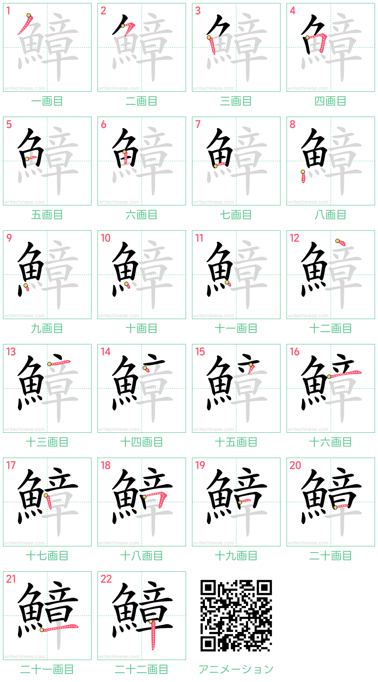 中国語の漢字「鱆」の書き順 筆順