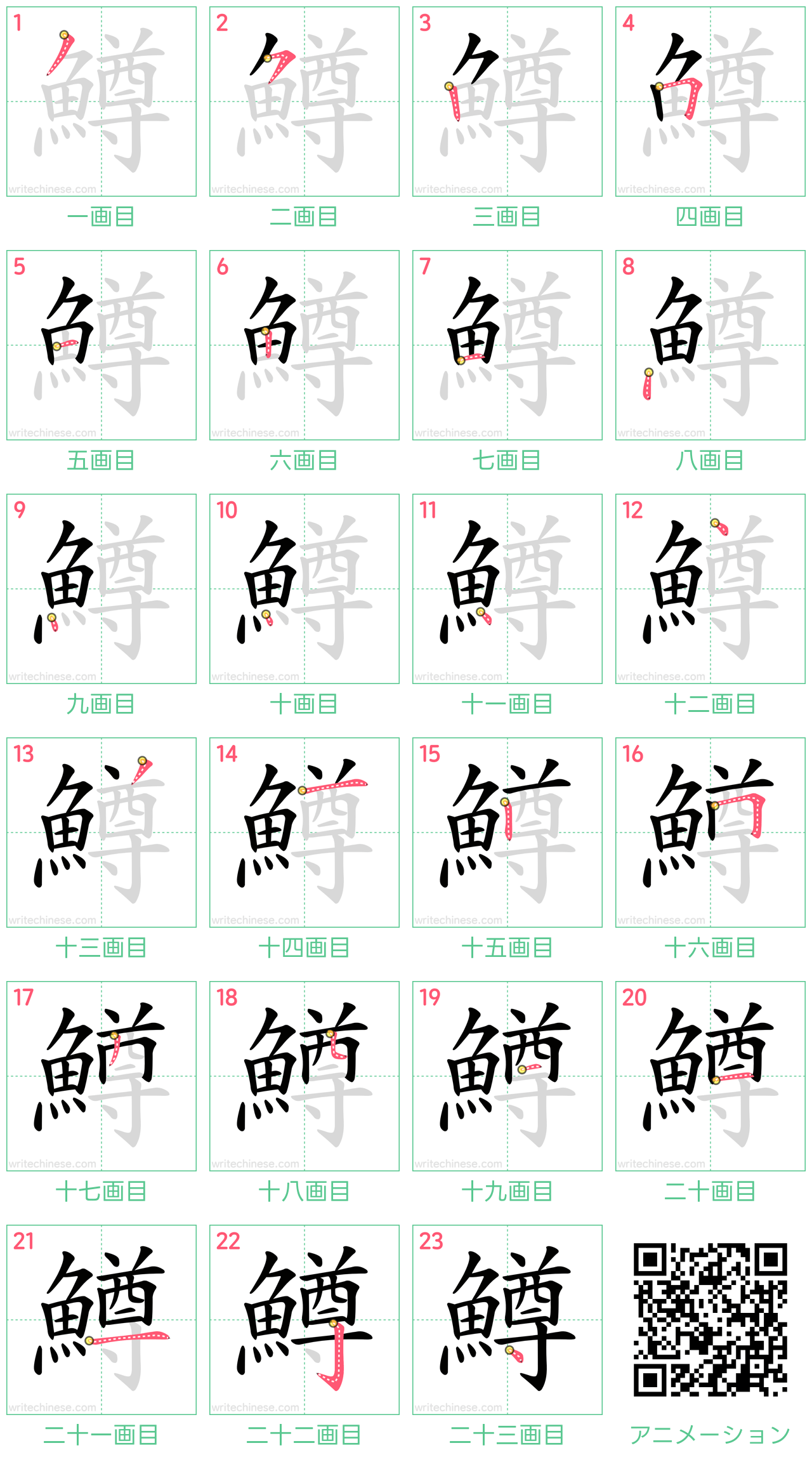 中国語の漢字「鱒」の書き順 筆順