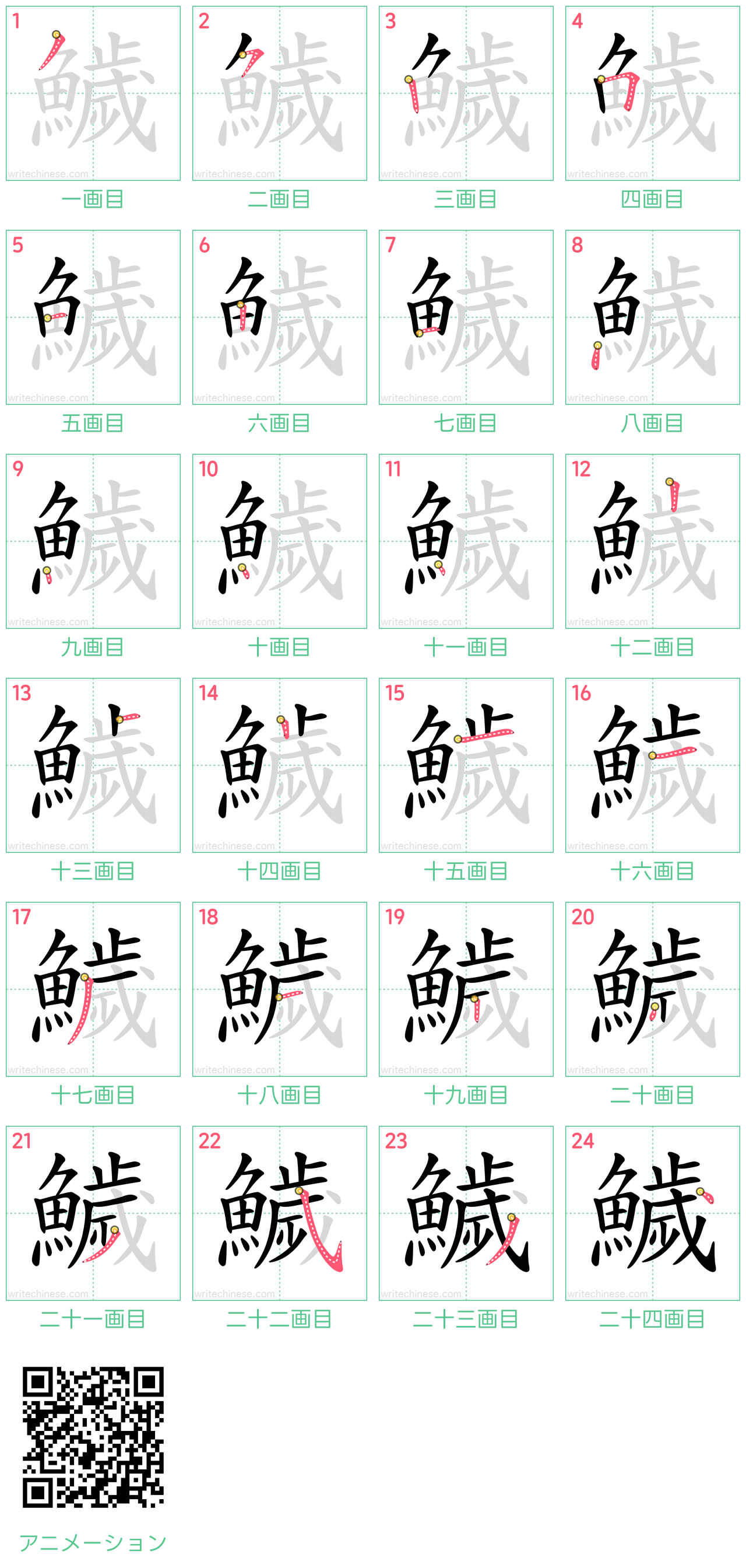 中国語の漢字「鱥」の書き順 筆順