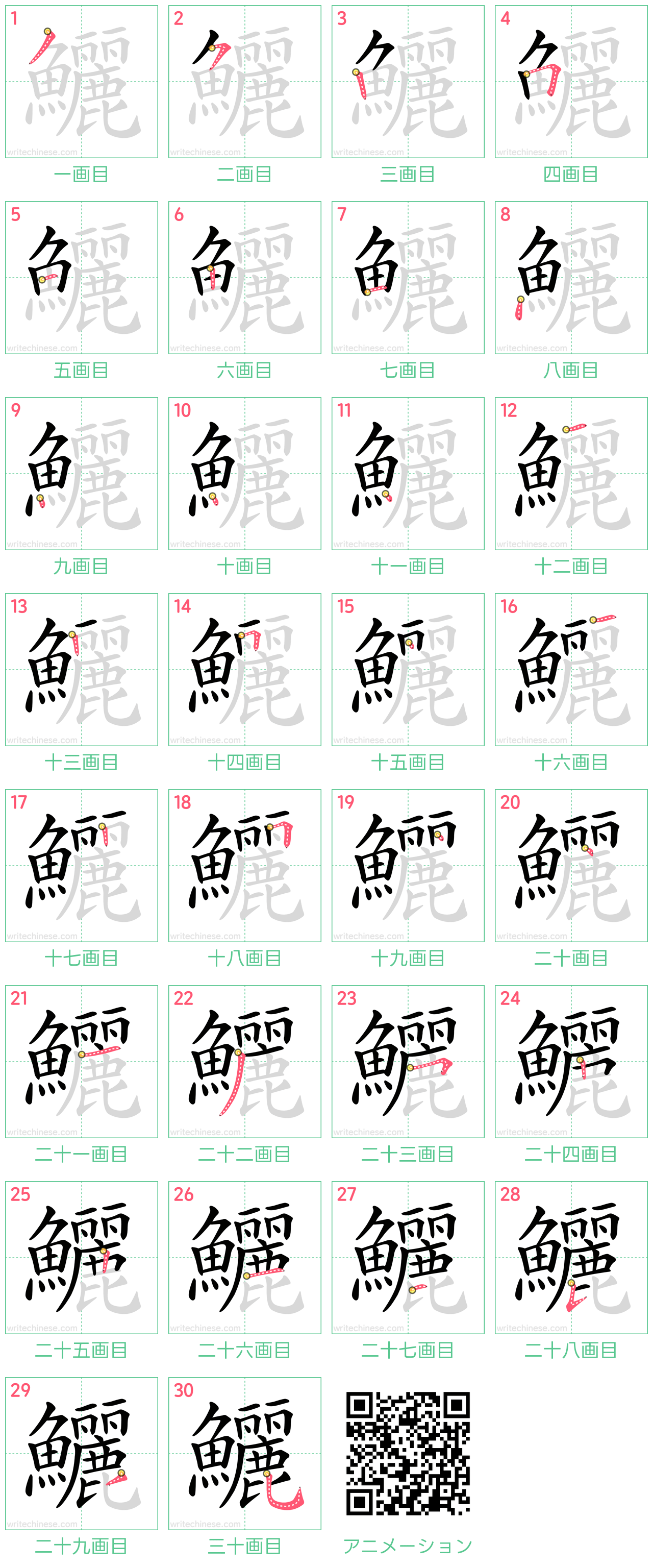 中国語の漢字「鱺」の書き順 筆順