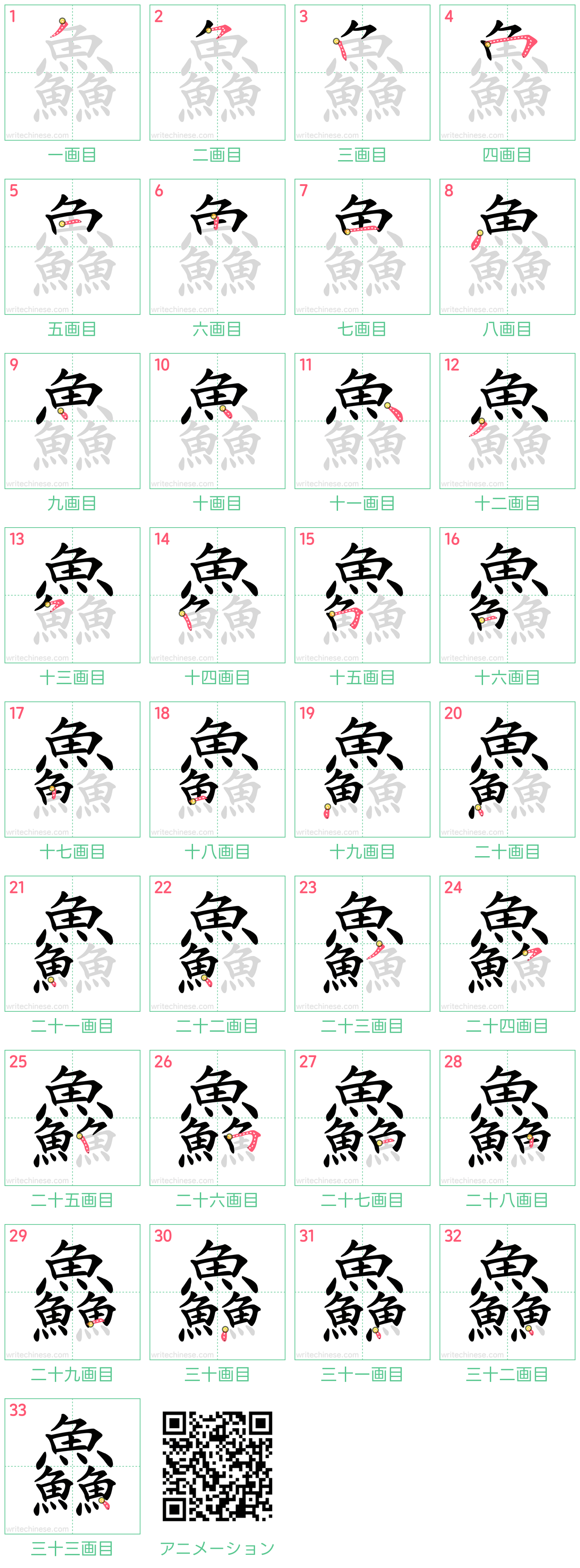 中国語の漢字「鱻」の書き順 筆順