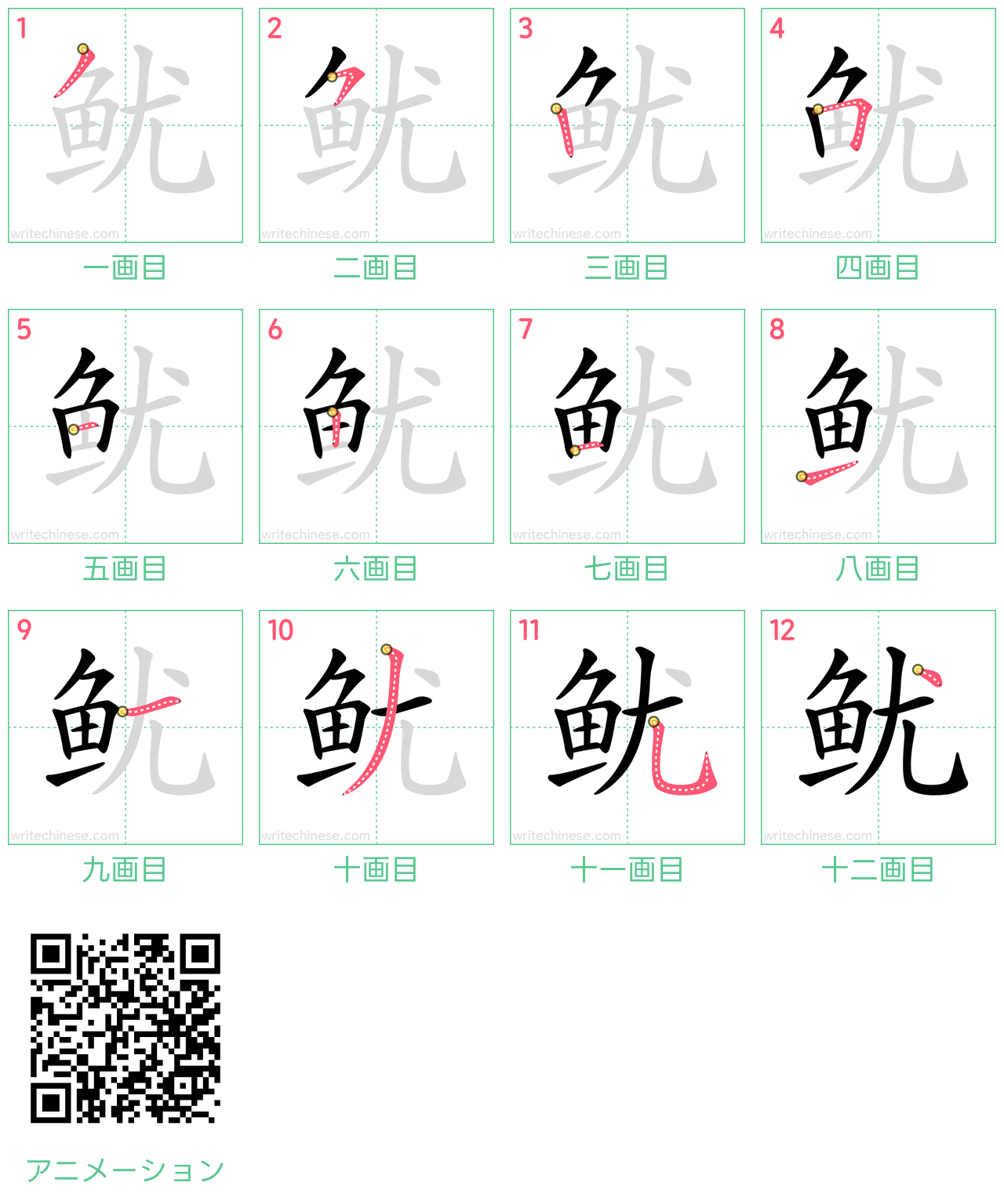 中国語の漢字「鱿」の書き順 筆順