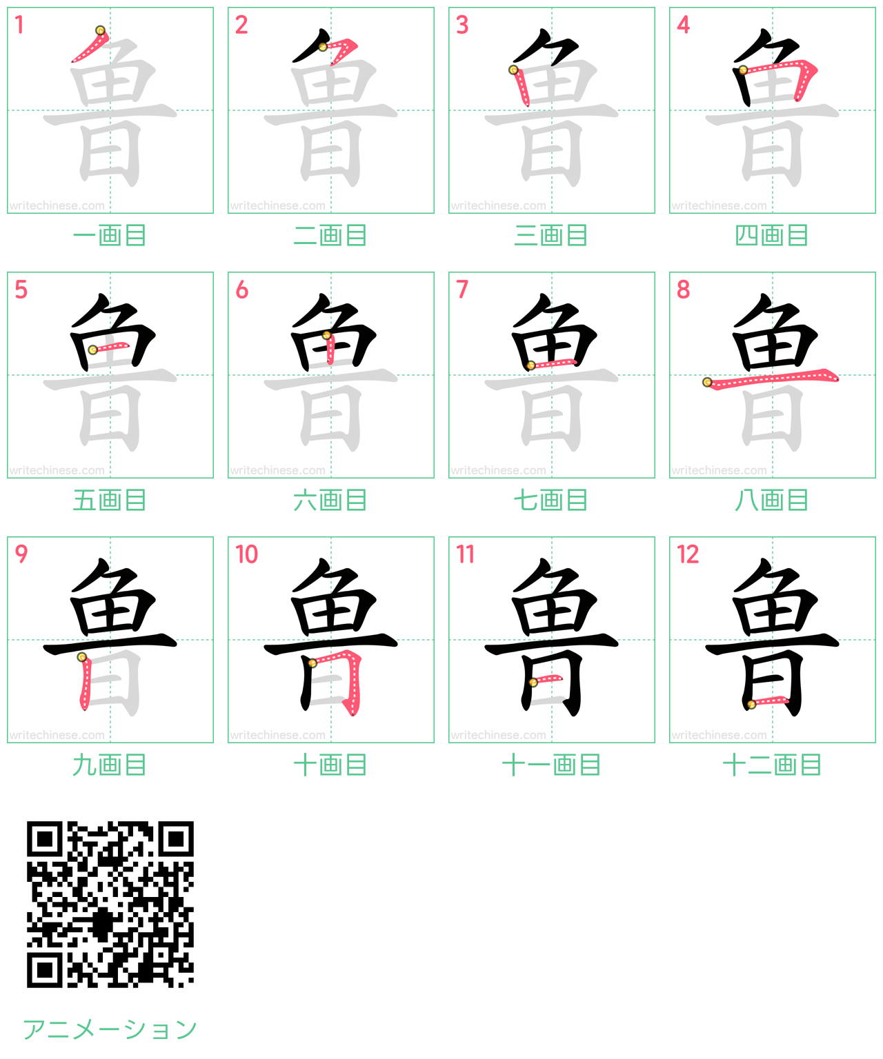 中国語の漢字「鲁」の書き順 筆順