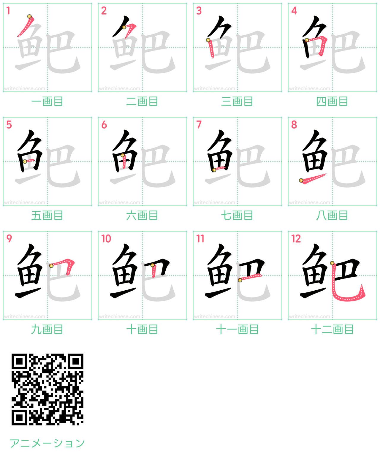 中国語の漢字「鲃」の書き順 筆順