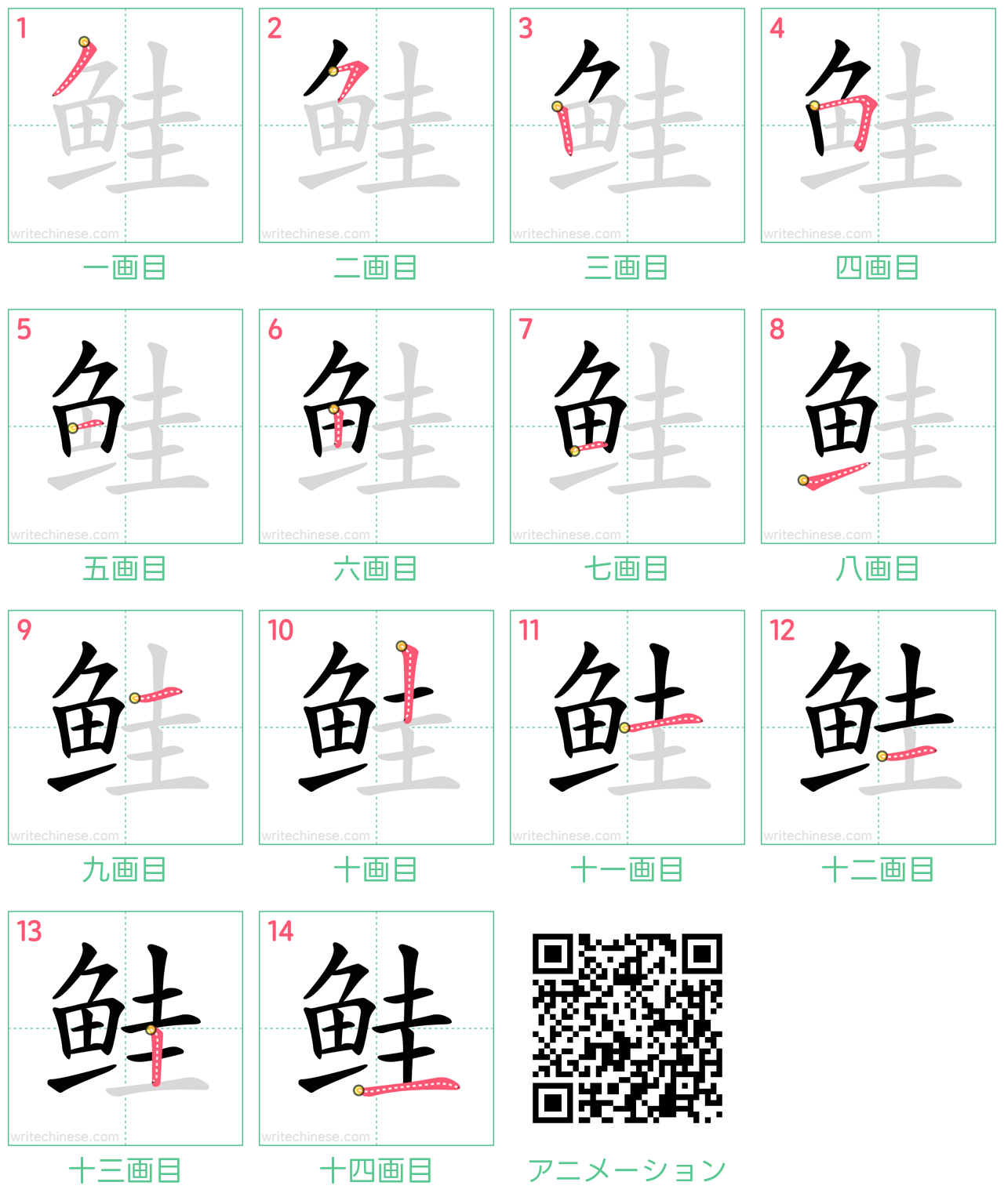 中国語の漢字「鲑」の書き順 筆順