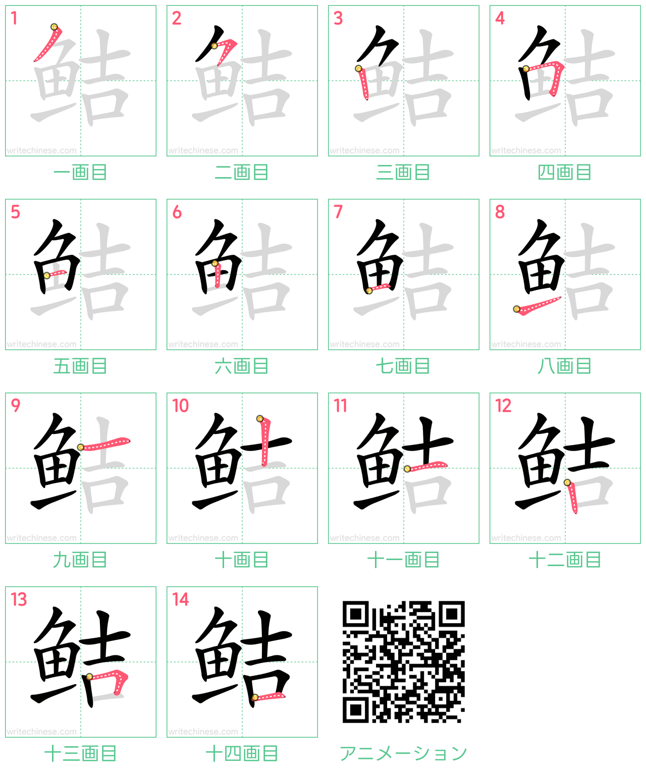 中国語の漢字「鲒」の書き順 筆順
